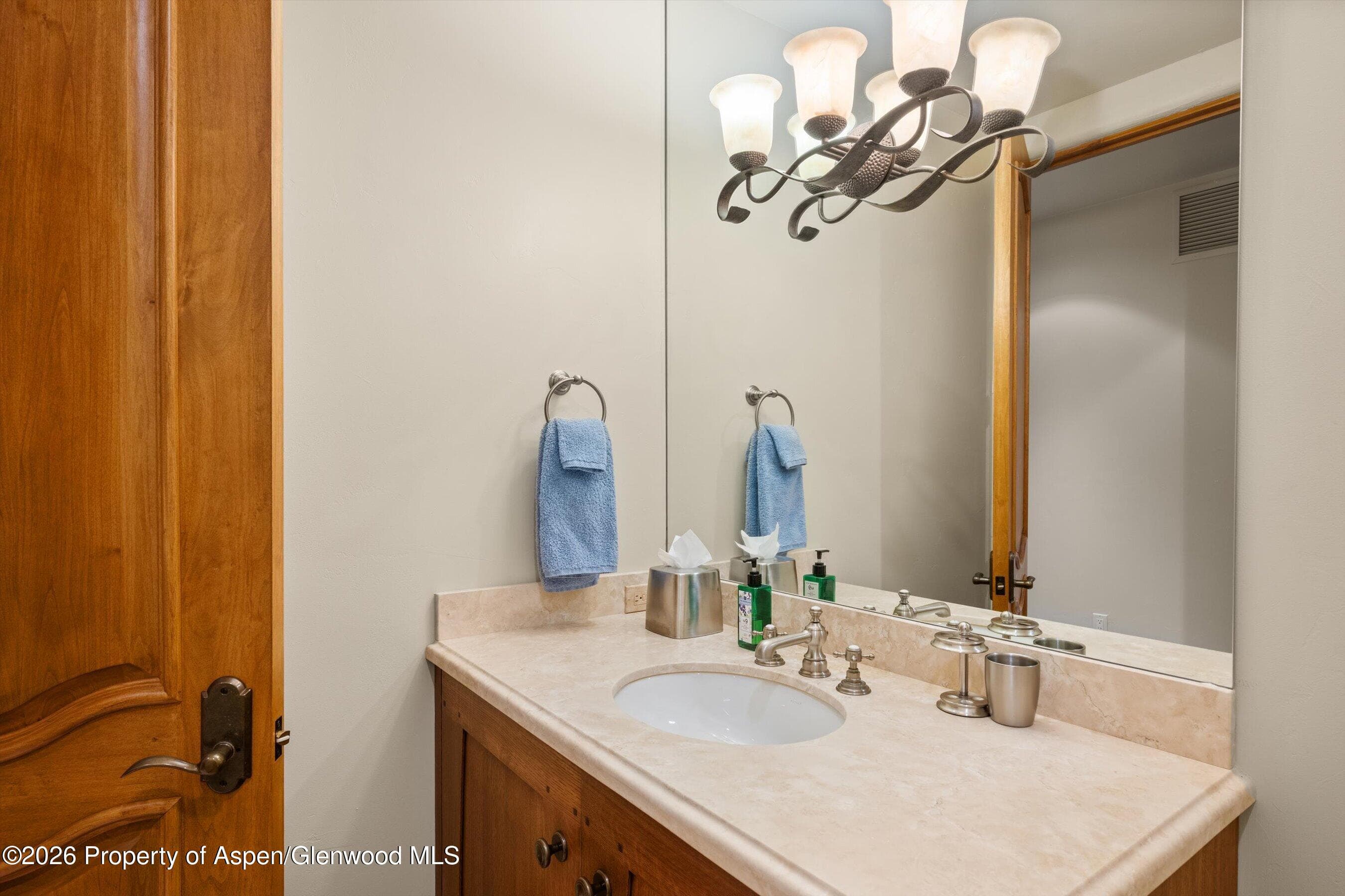 691 Pfister Drive, Aspen, CO 81611 - Photo 59