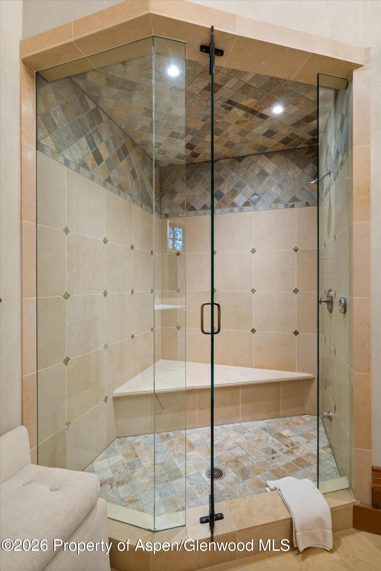 691 Pfister Drive, Aspen, CO 81611 - Photo 68