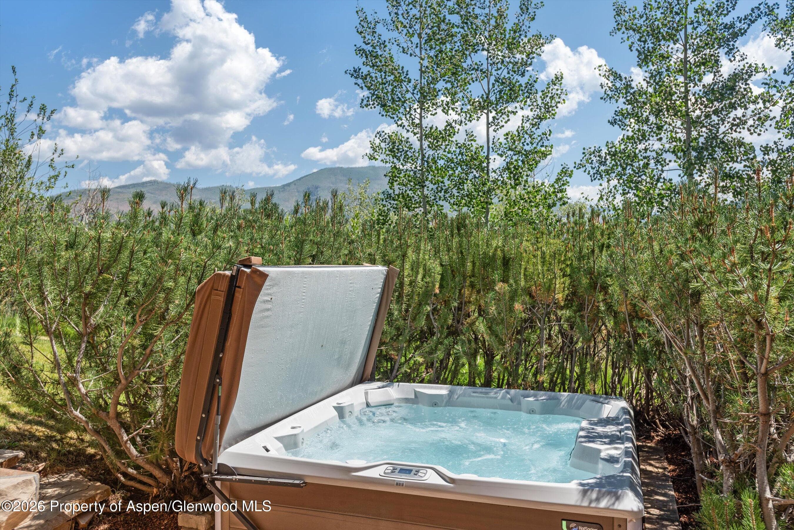 691 Pfister Drive, Aspen, CO 81611 - Photo 73
