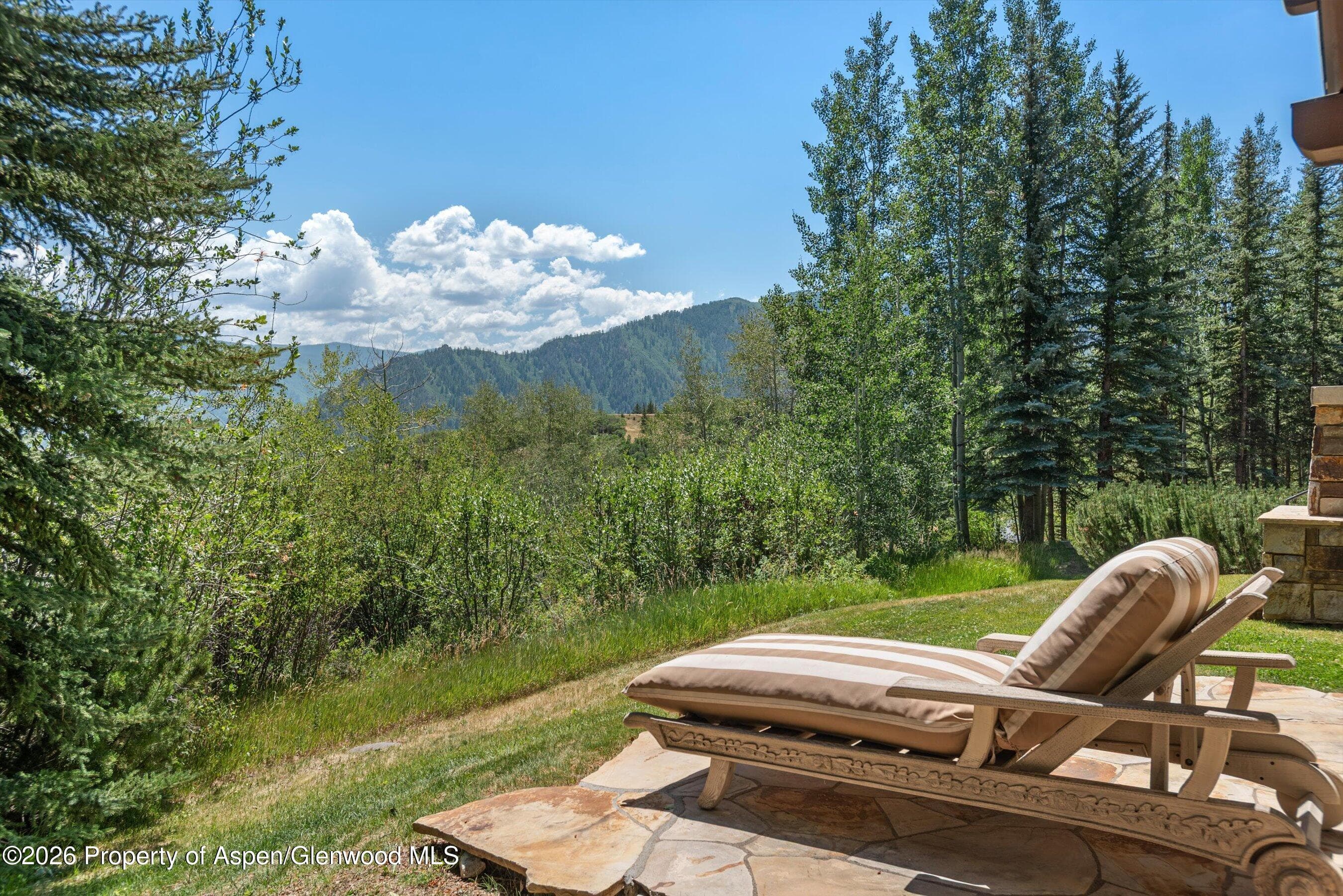 691 Pfister Drive, Aspen, CO 81611 - Photo 75