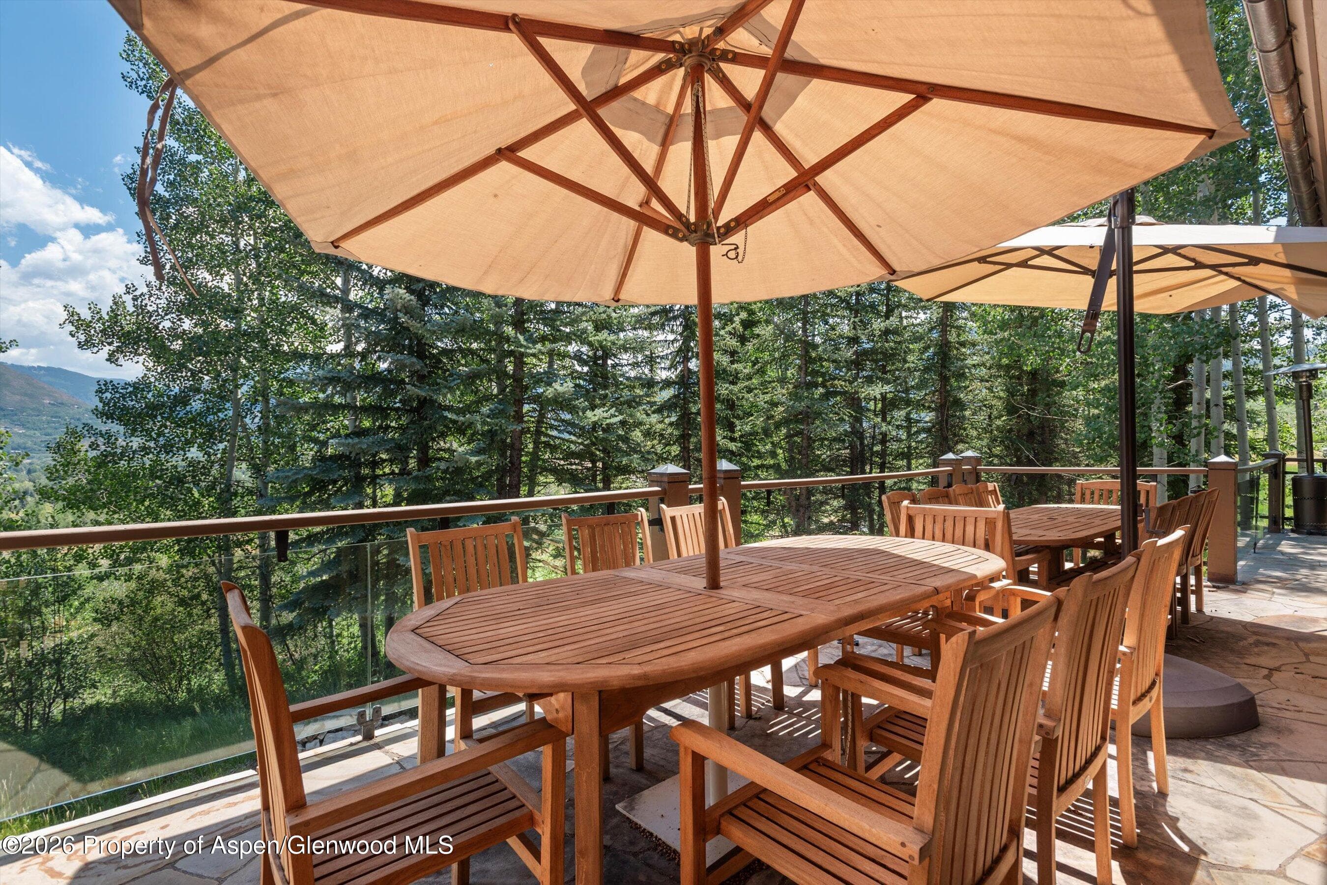 691 Pfister Drive, Aspen, CO 81611 - Photo 78
