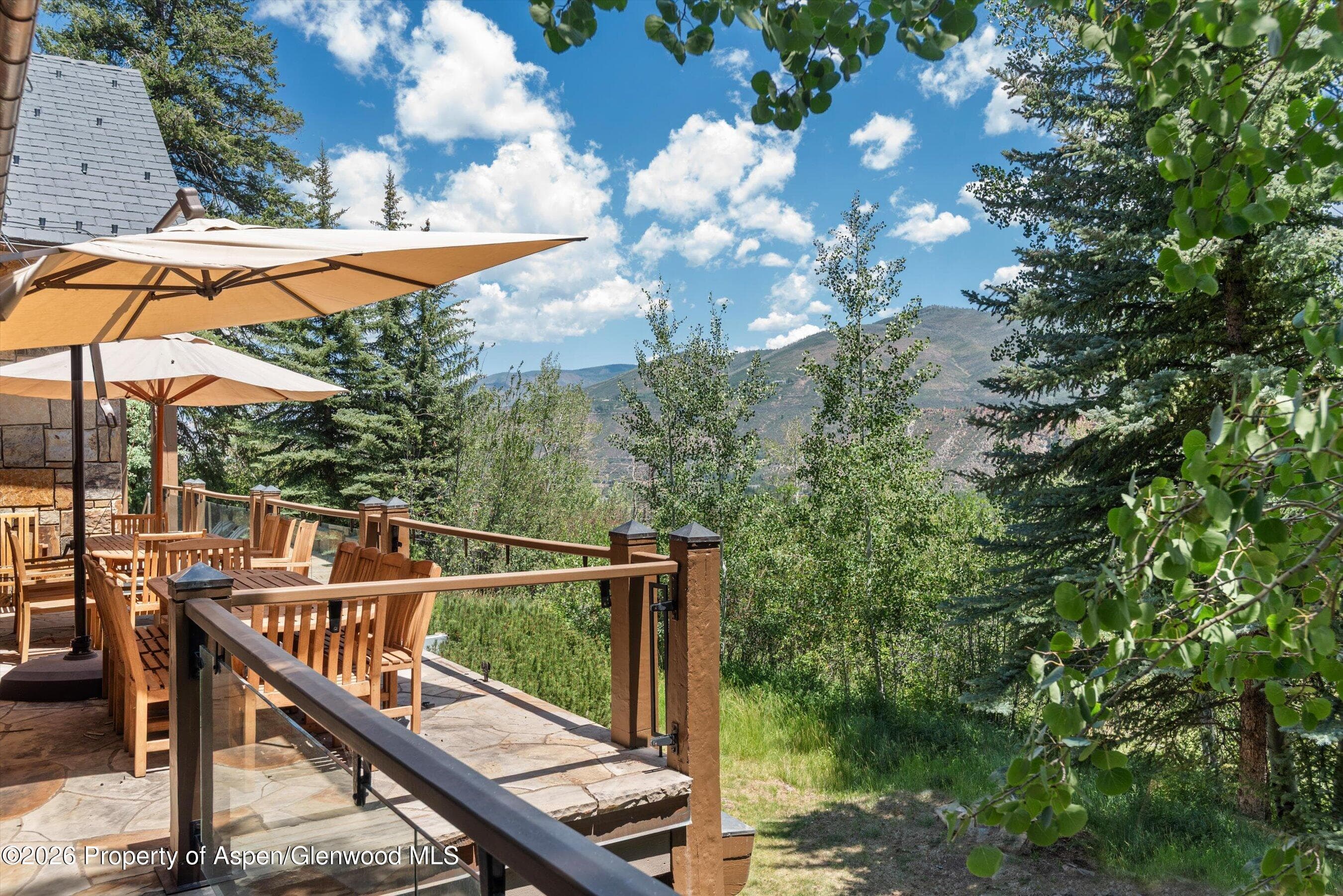 691 Pfister Drive, Aspen, CO 81611 - Photo 80