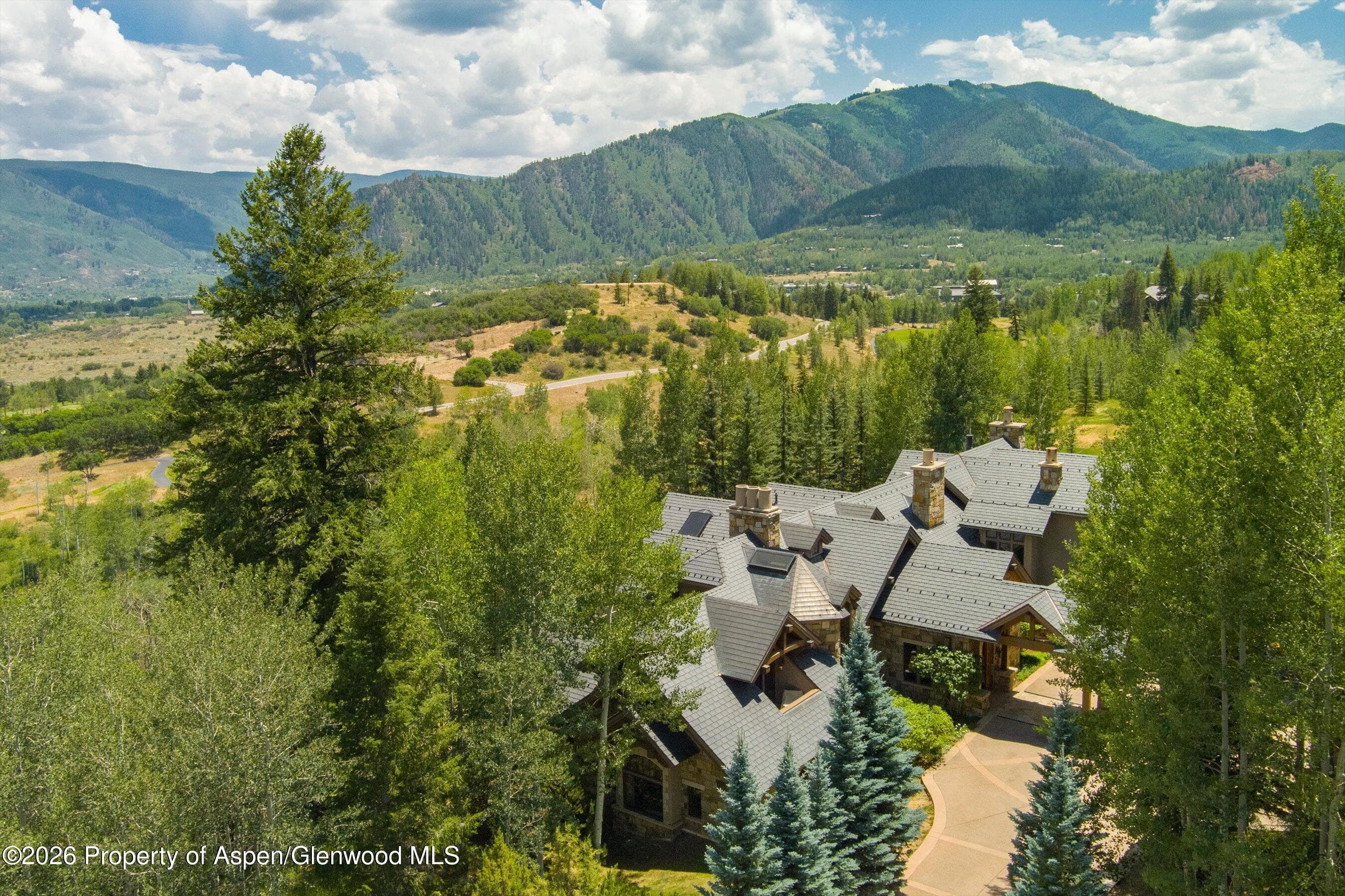 691 Pfister Drive, Aspen, CO 81611 - Photo 89