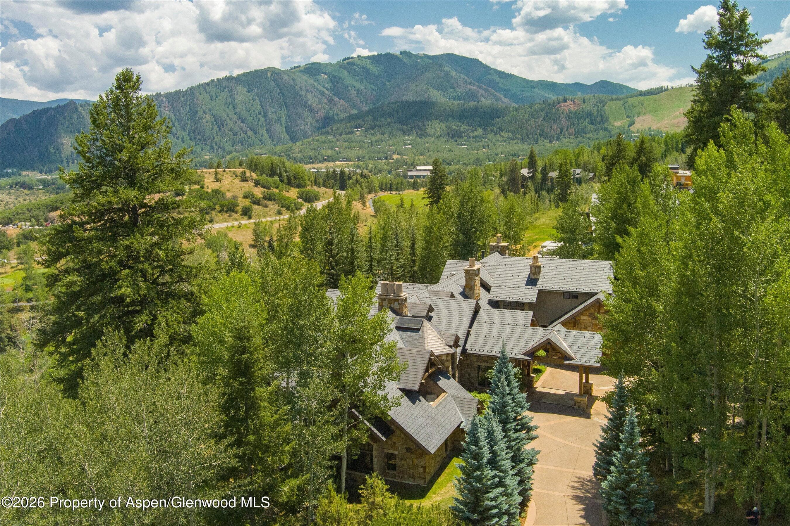 691 Pfister Drive, Aspen, CO 81611 - Photo 90
