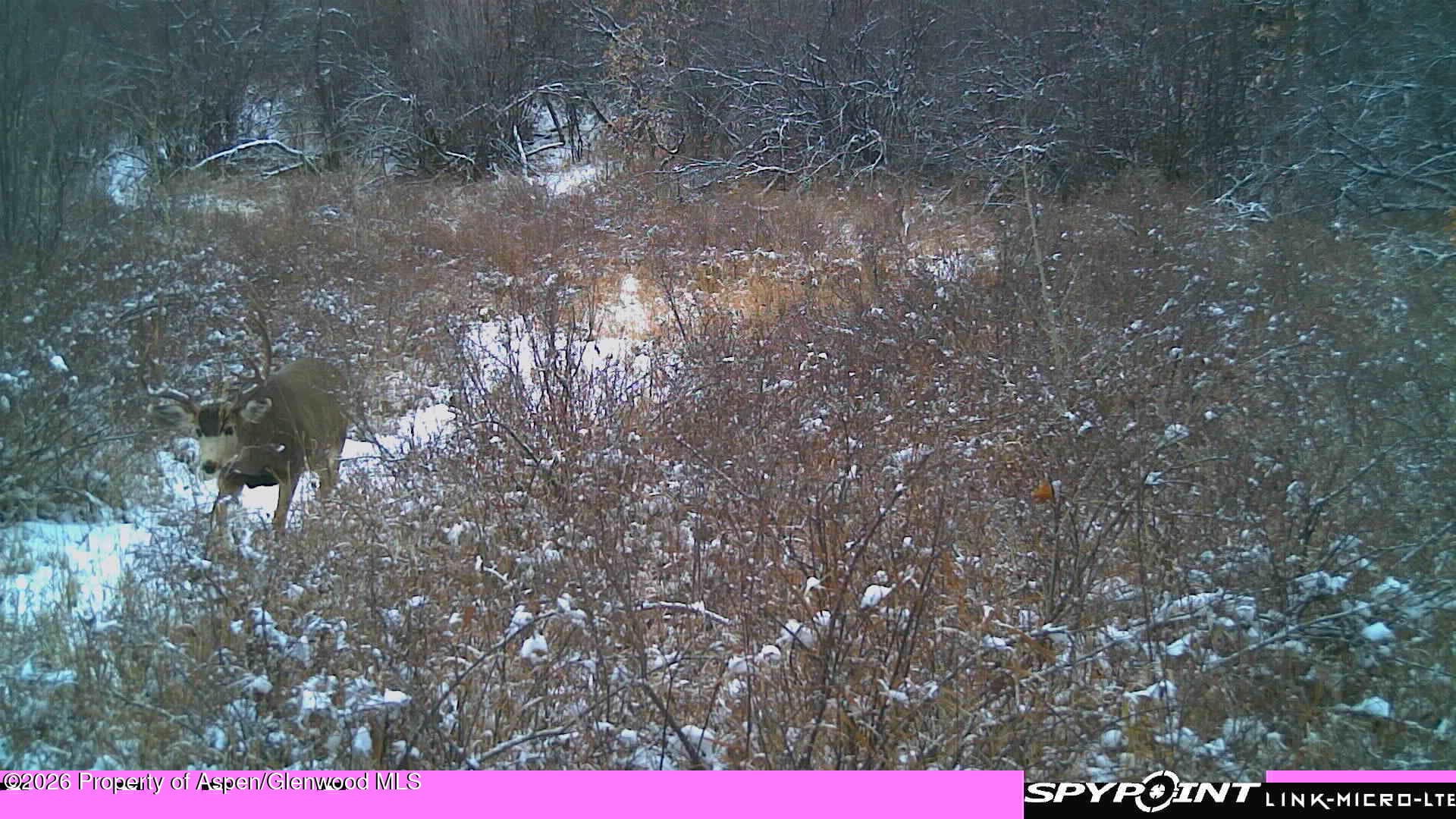 Tbd County Road 313, Silt, CO 81652 - Photo 12