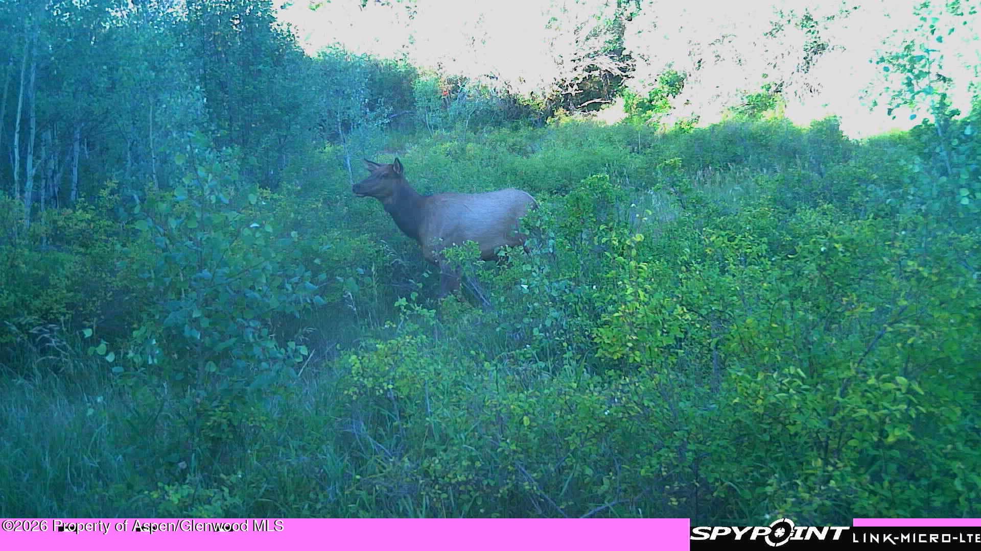 Tbd County Road 313, Silt, CO 81652 - Photo 14
