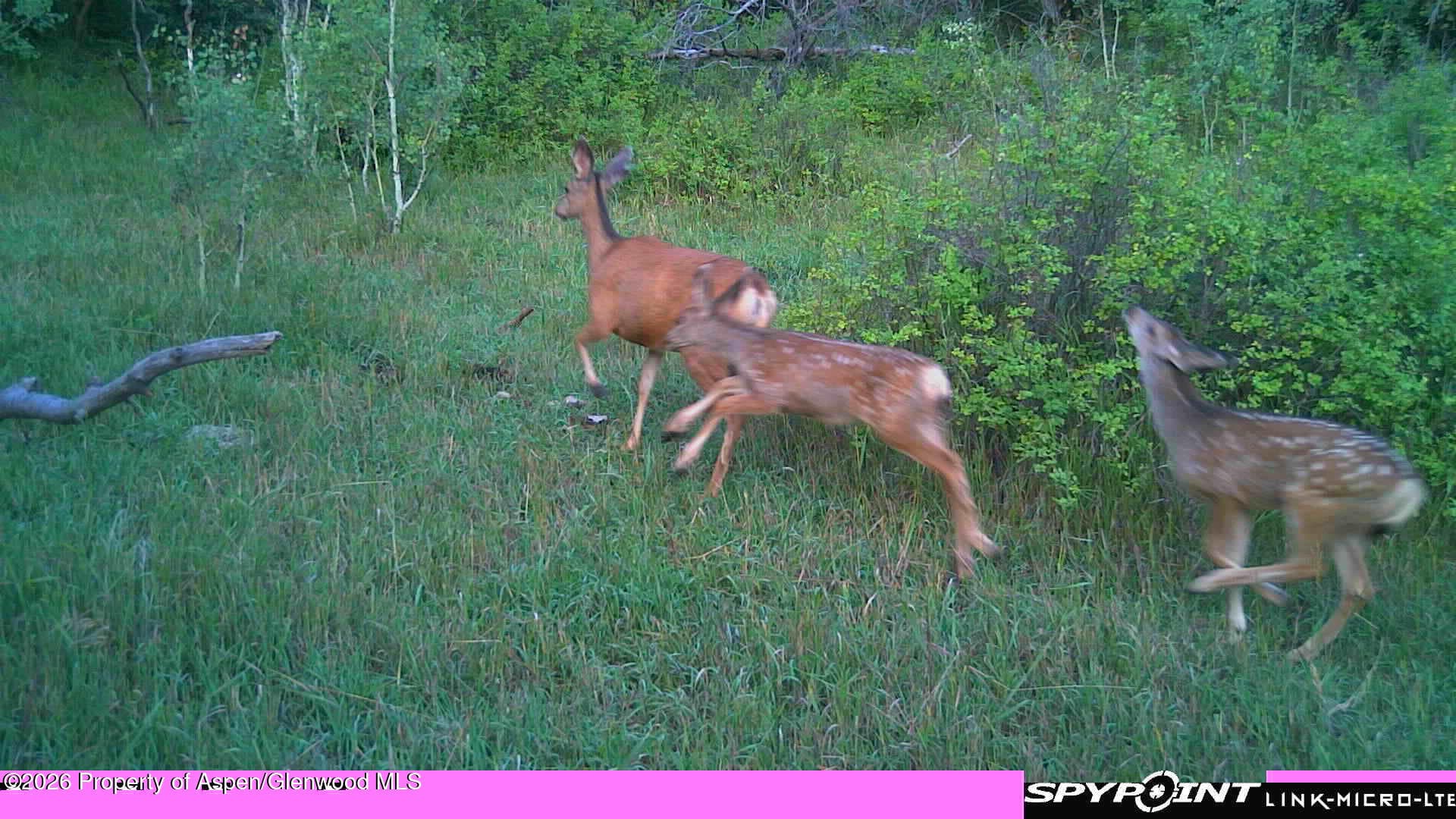 Tbd County Road 313, Silt, CO 81652 - Photo 11