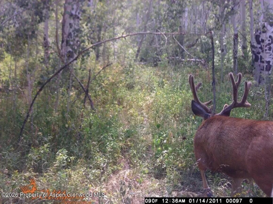 Tbd County Road 313, Silt, CO 81652 - Photo 13