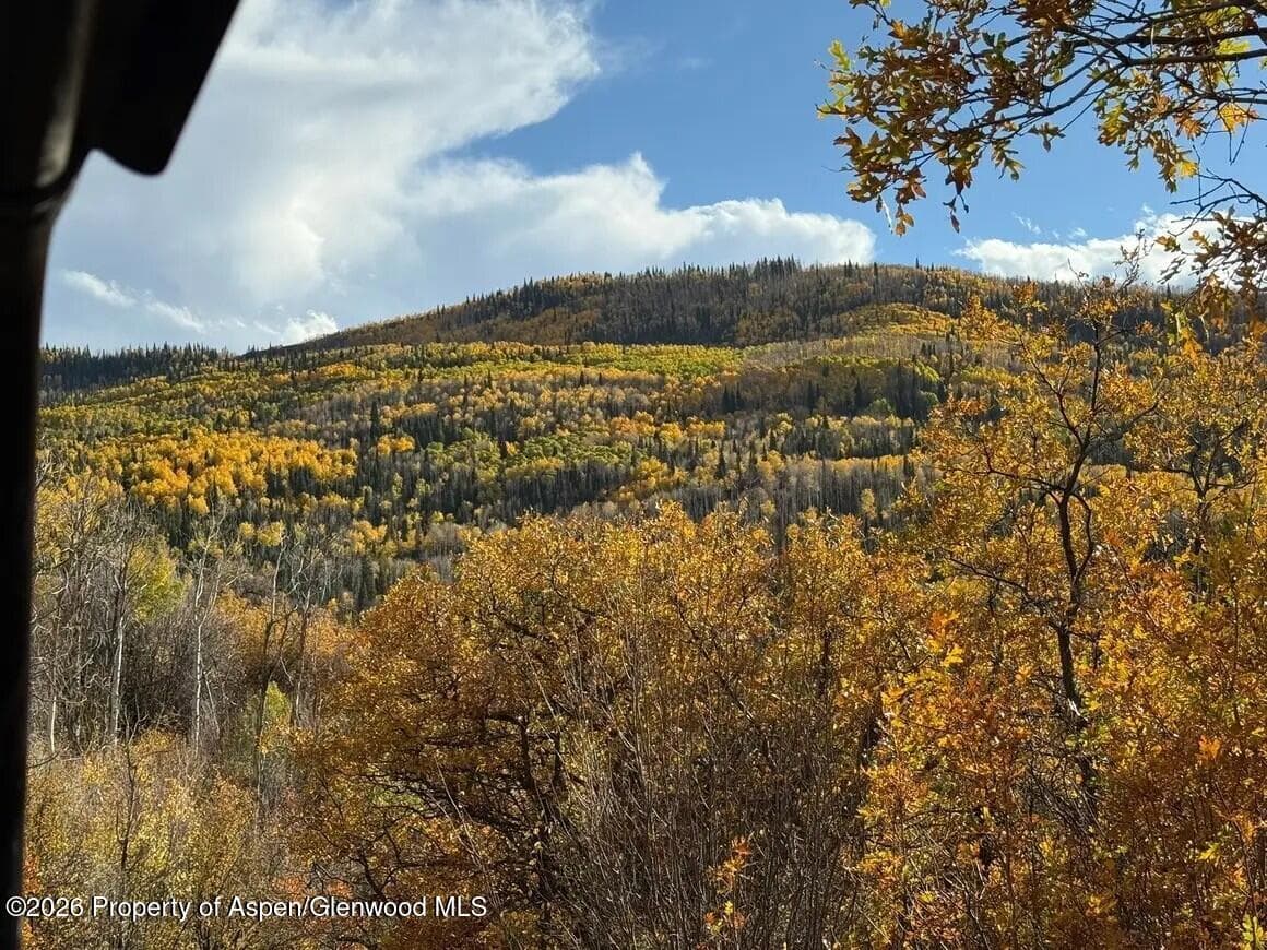 Tbd County Road 313, Silt, CO 81652 - Photo 3
