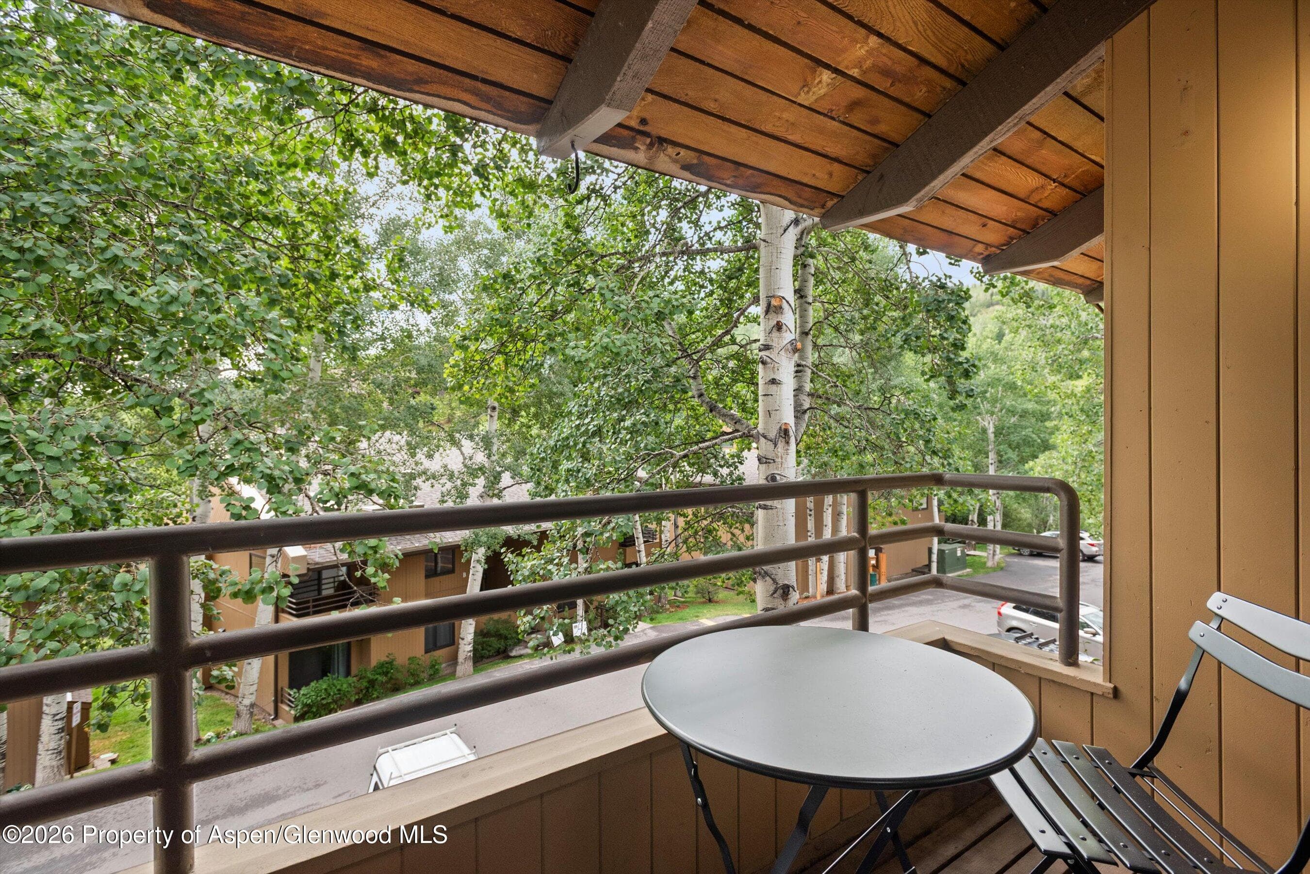 34 Lower Woodbridge Road 190, Snowmass Village, CO 81615 - Photo 5