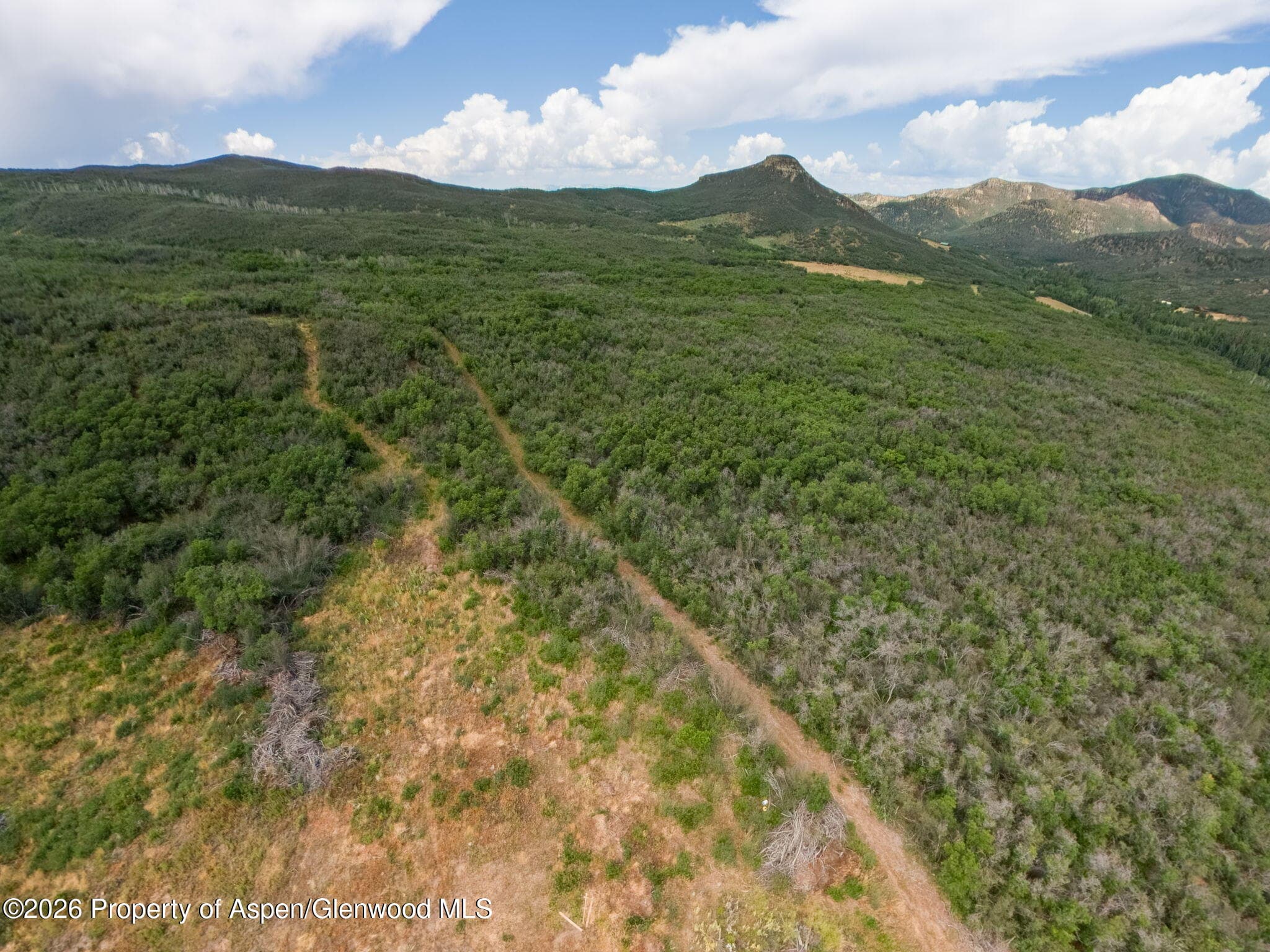 Tbd County Road 313, Silt, CO 81652 - Photo 24