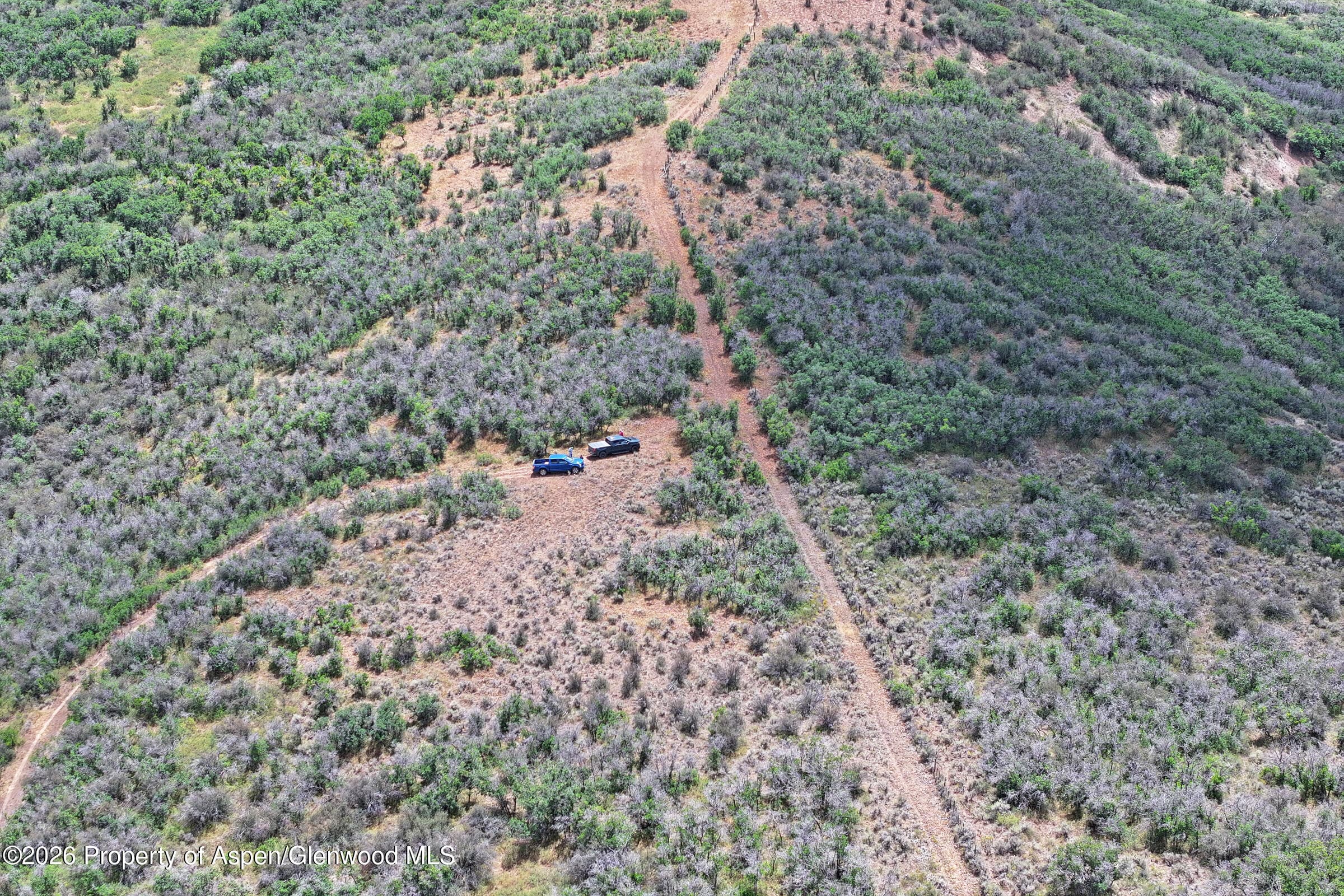 Tbd Tbd, Collbran, CO 81624 - Photo 7