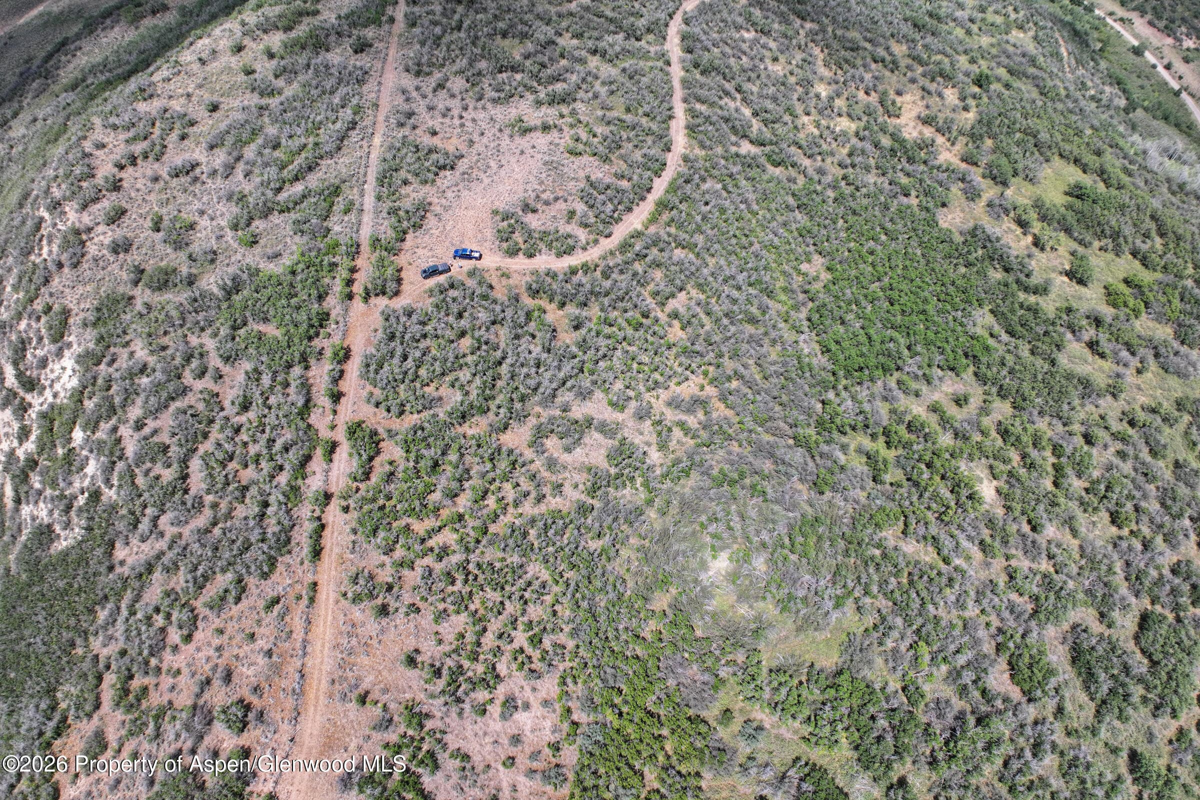 Tbd Tbd, Collbran, CO 81624 - Photo 11