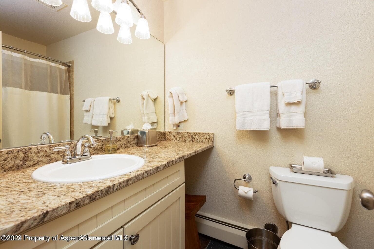 13 Pine Ridge Road, Basalt, CO 81621 - Photo 9