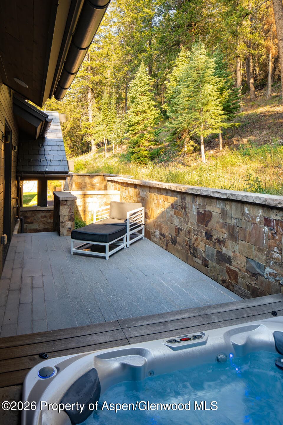 991 Moore Drive, Aspen, CO 81611 - Photo 19