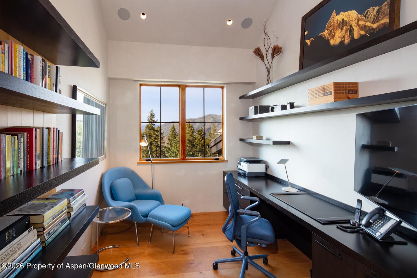 991 Moore Drive, Aspen, CO 81611 - Photo 16