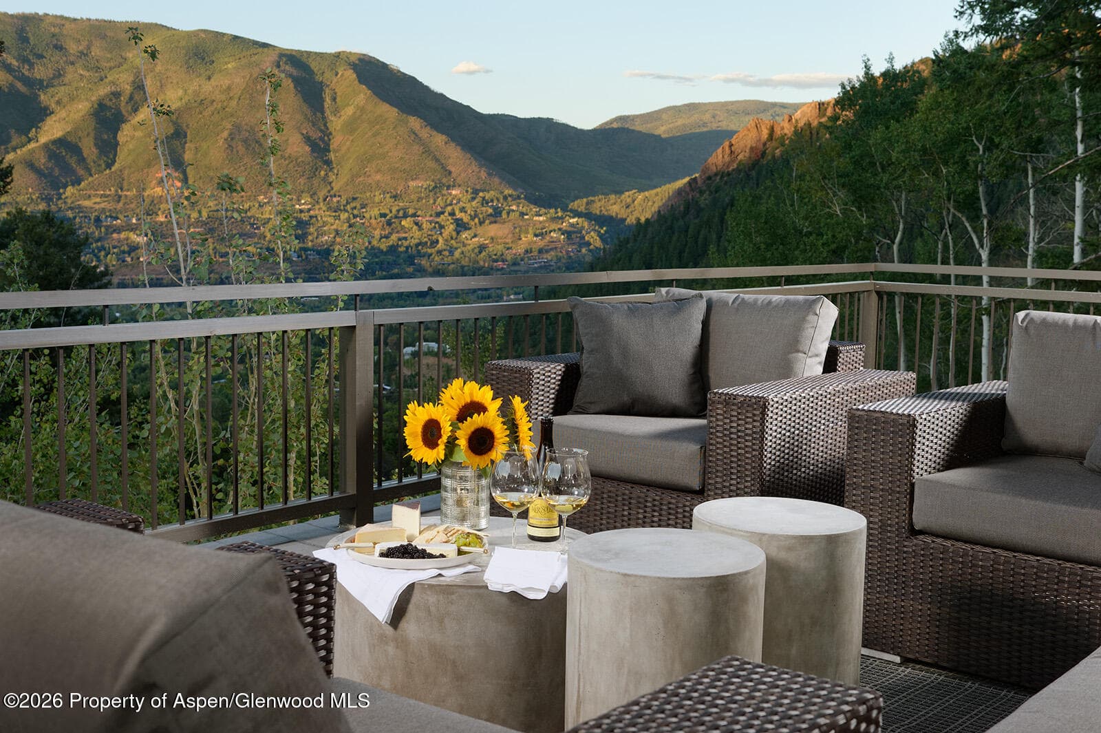 991 Moore Drive, Aspen, CO 81611 - Photo 32