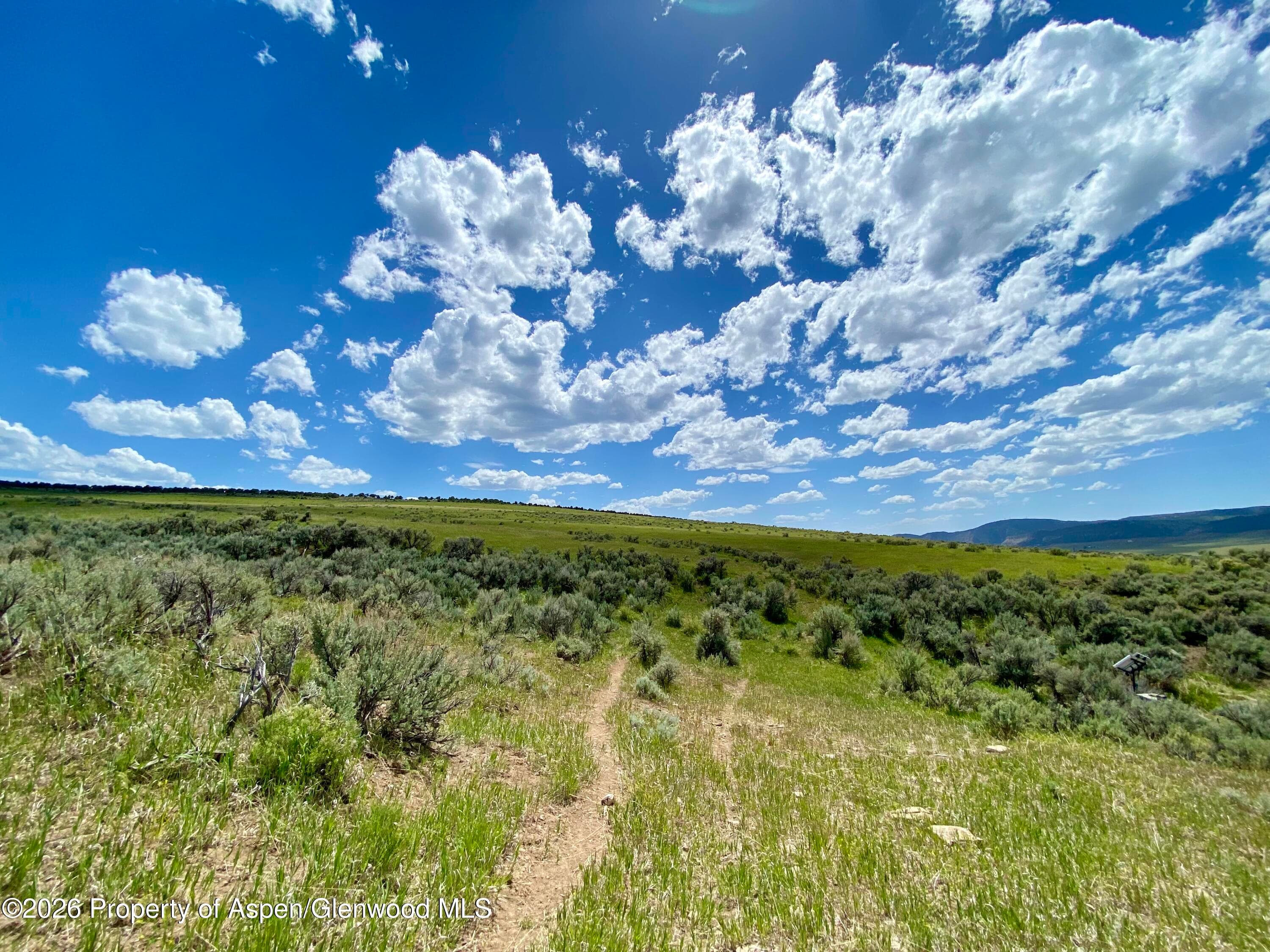 1556 County Road 15, Meeker, CO 81641 - Photo 5