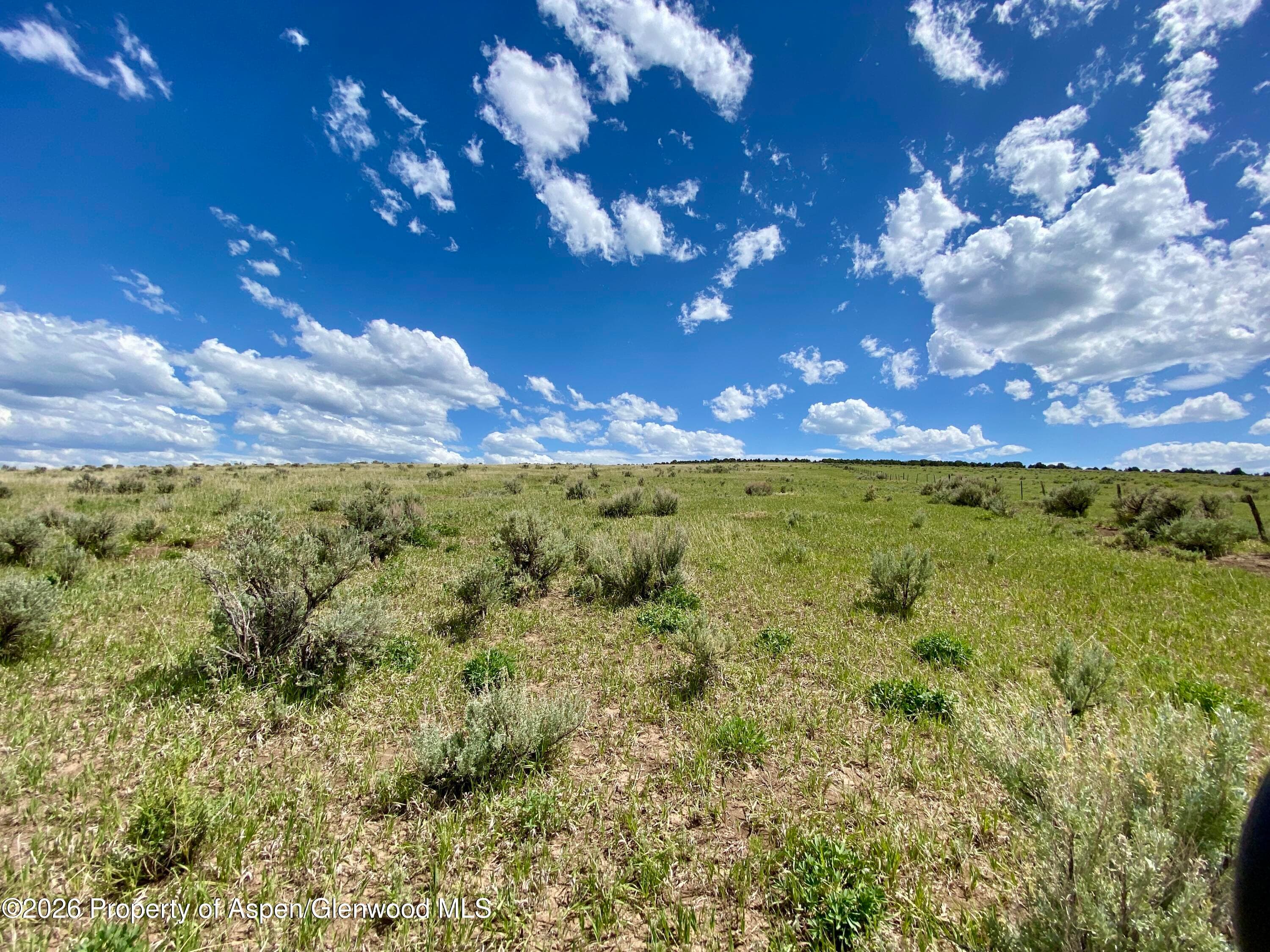 1556 County Road 15, Meeker, CO 81641 - Photo 6