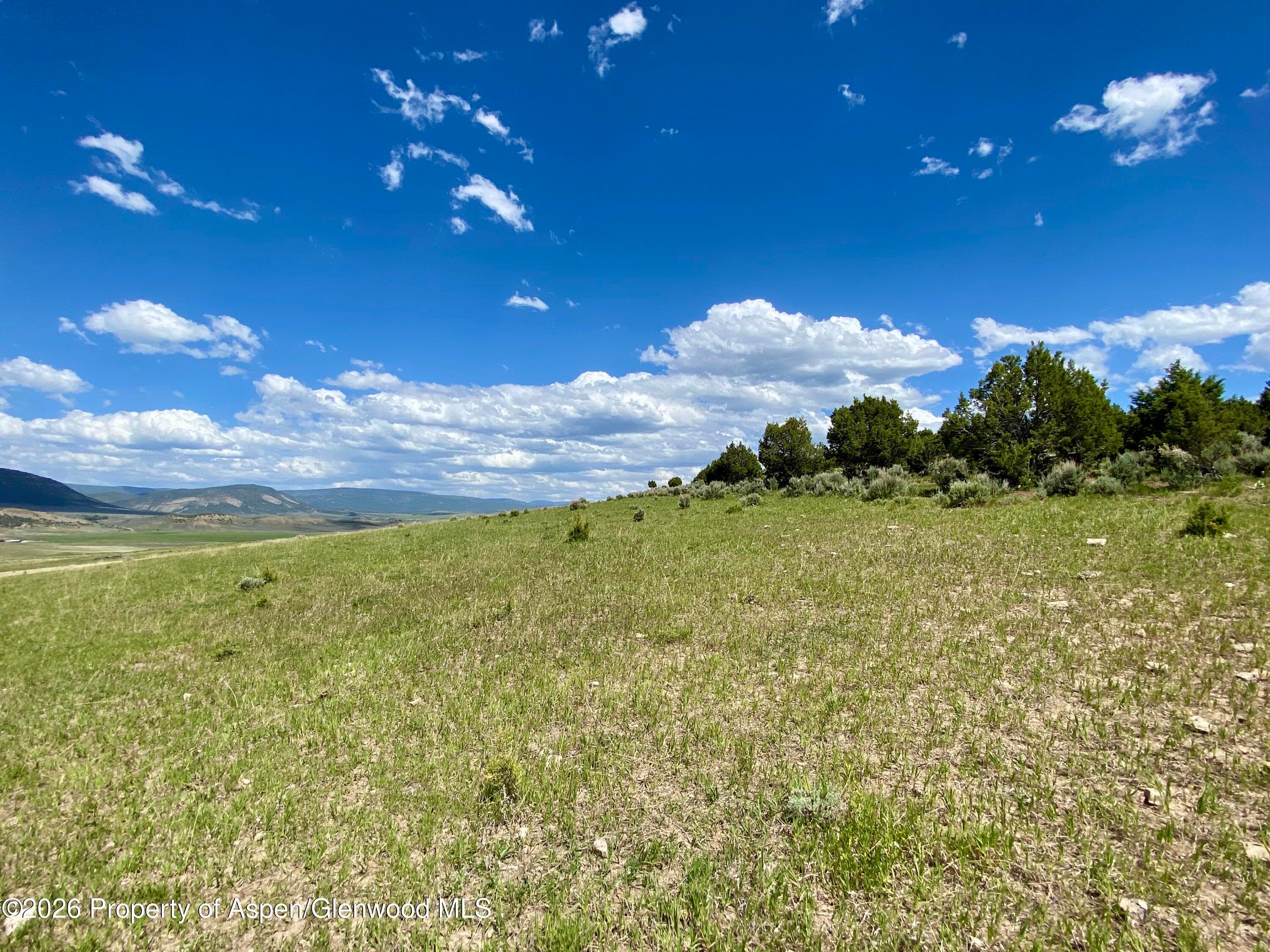 1556 County Road 15, Meeker, CO 81641 - Photo 7