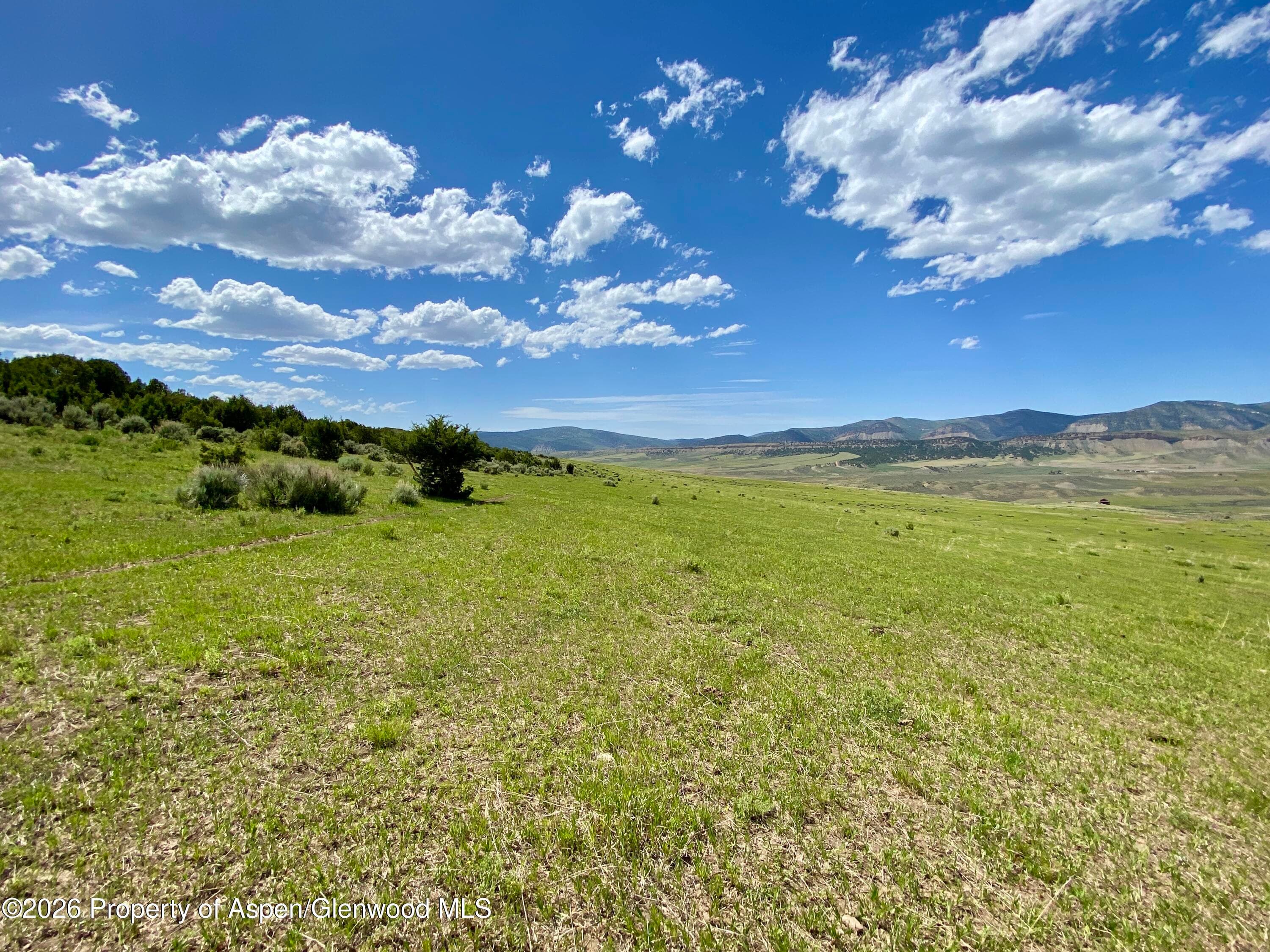 1556 County Road 15, Meeker, CO 81641 - Photo 9