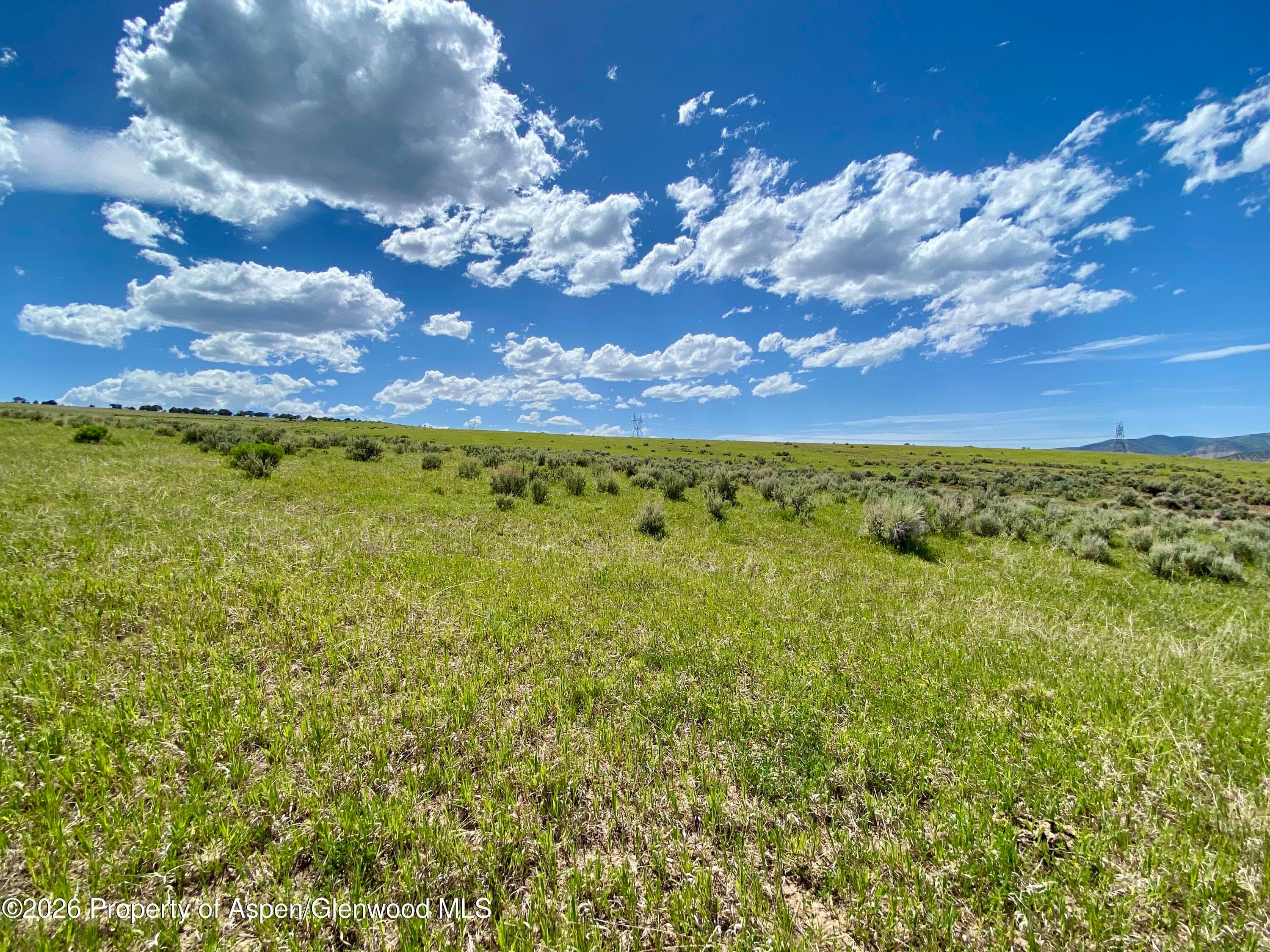 1556 County Road 15, Meeker, CO 81641 - Photo 13