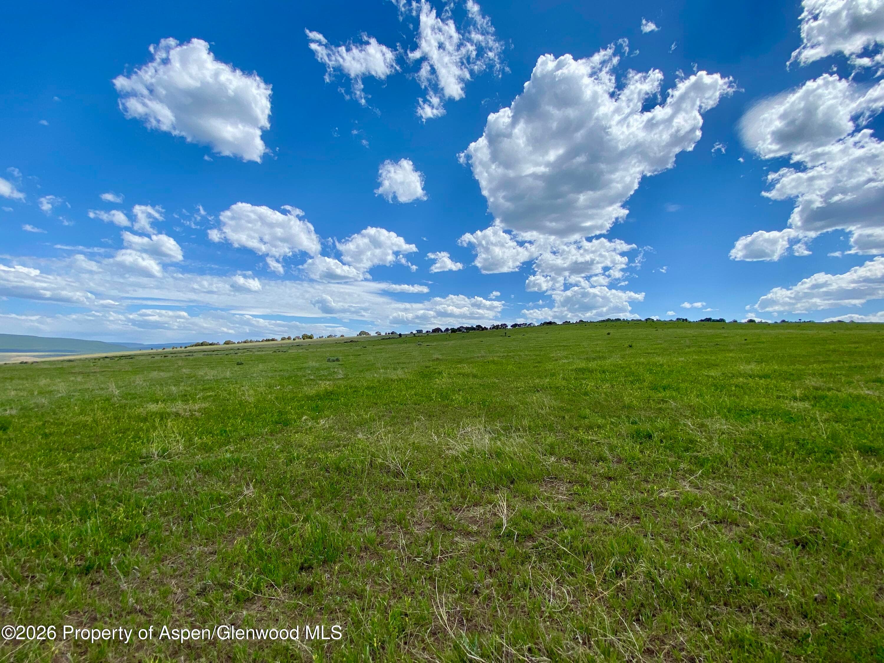 1556 County Road 15, Meeker, CO 81641 - Photo 15