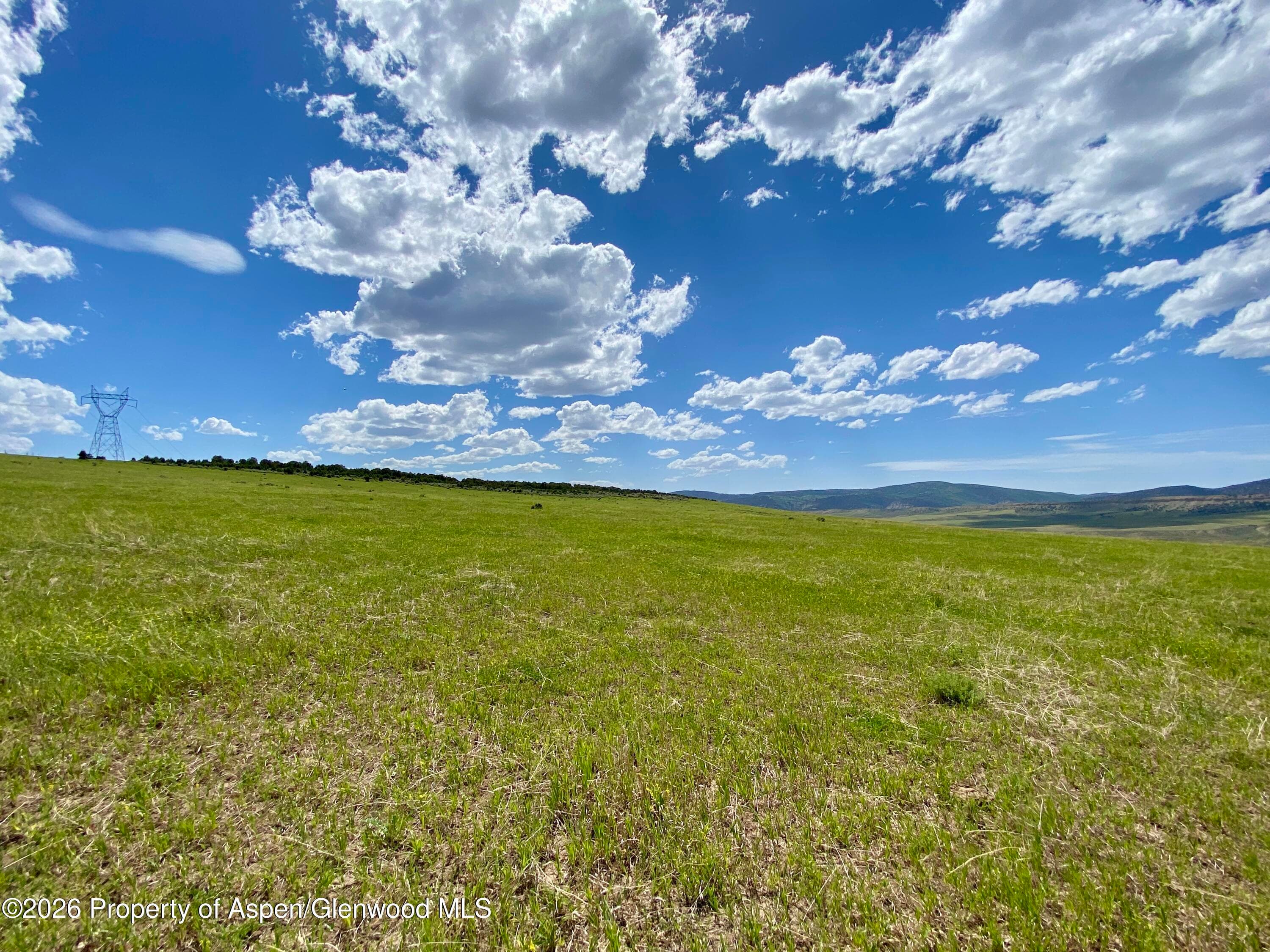 1556 County Road 15, Meeker, CO 81641 - Photo 16