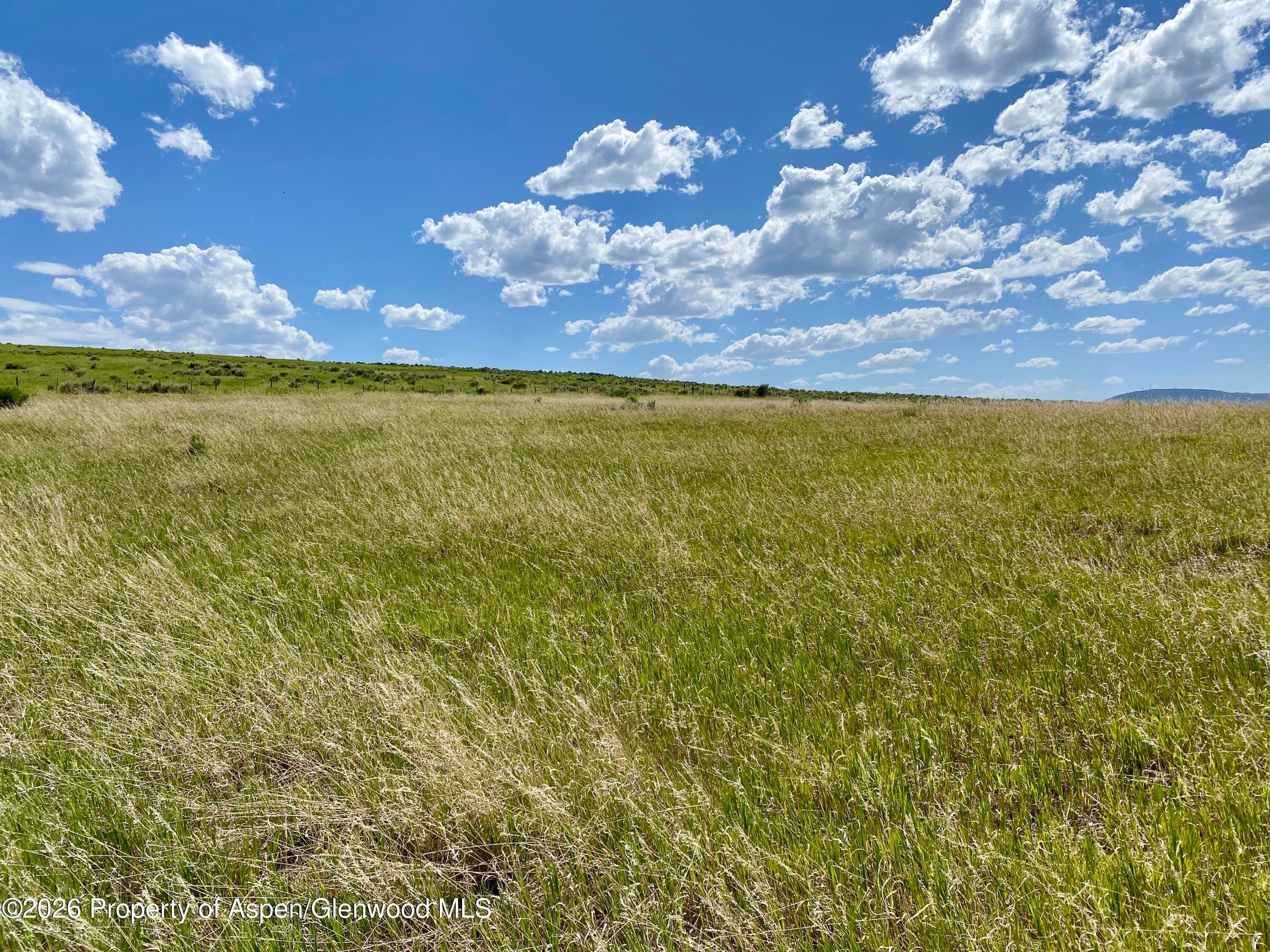 1556 County Road 15, Meeker, CO 81641 - Photo 2