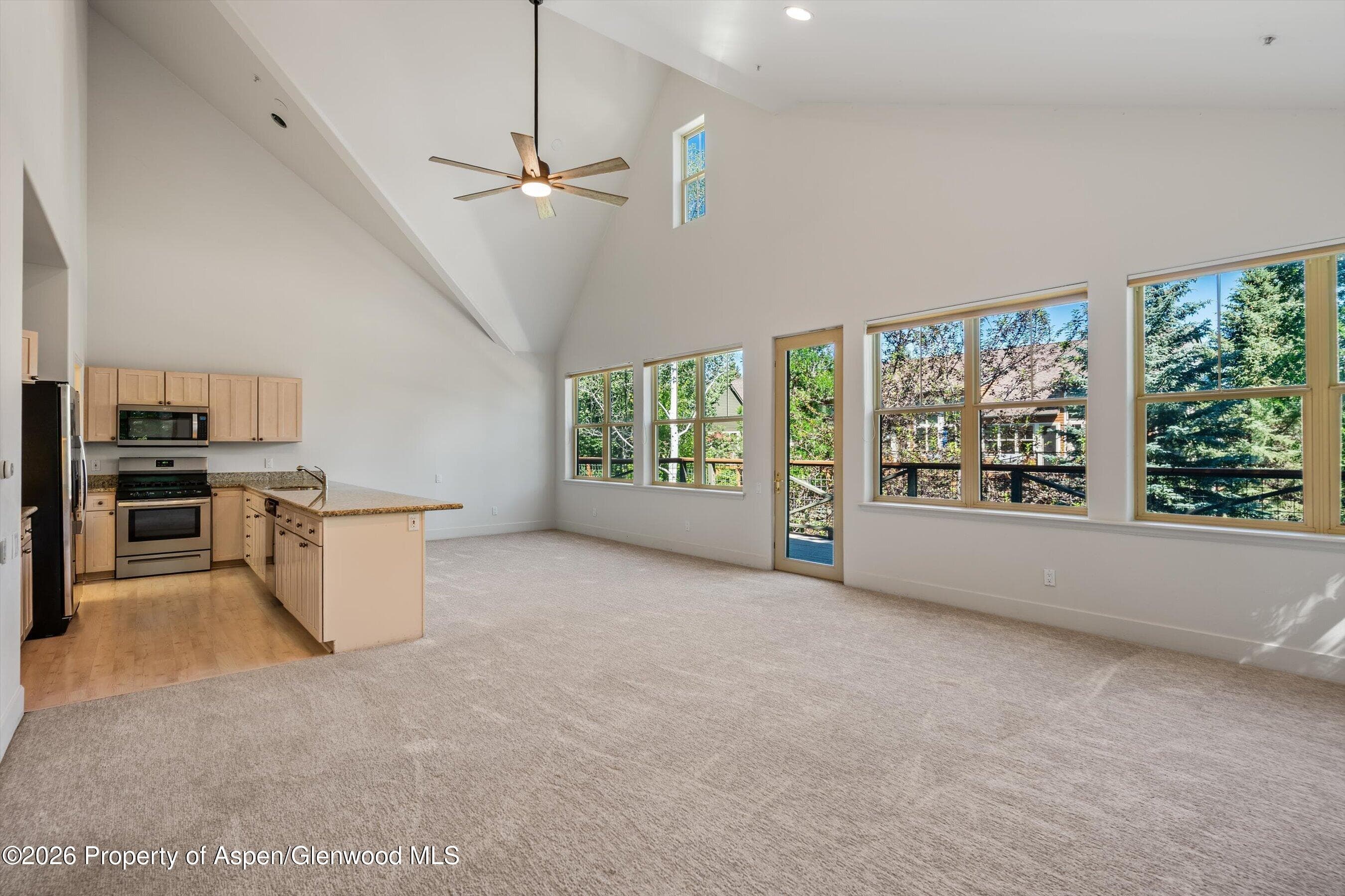 711 Evans Court, Basalt, CO 81621 - Photo 4