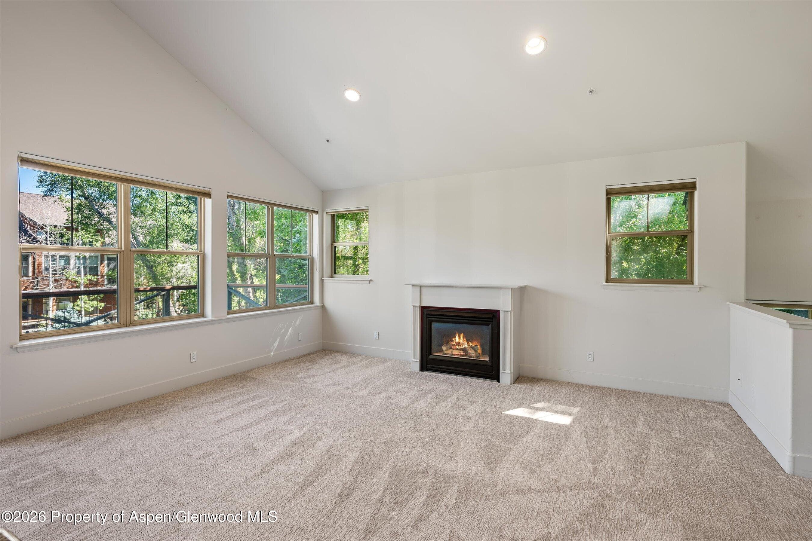 711 Evans Court, Basalt, CO 81621 - Photo 7