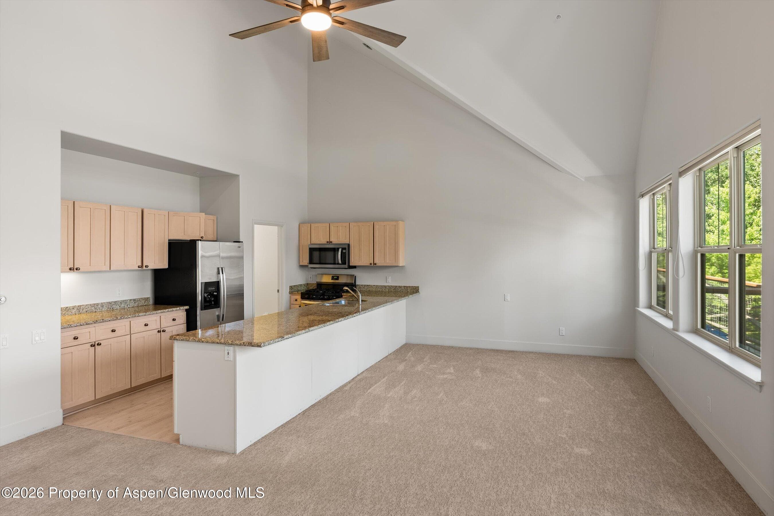 711 Evans Court, Basalt, CO 81621 - Photo 8