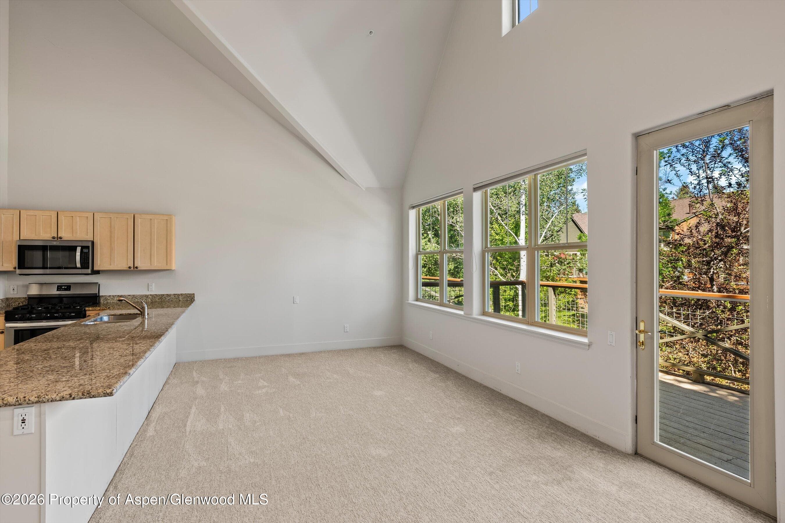 711 Evans Court, Basalt, CO 81621 - Photo 11