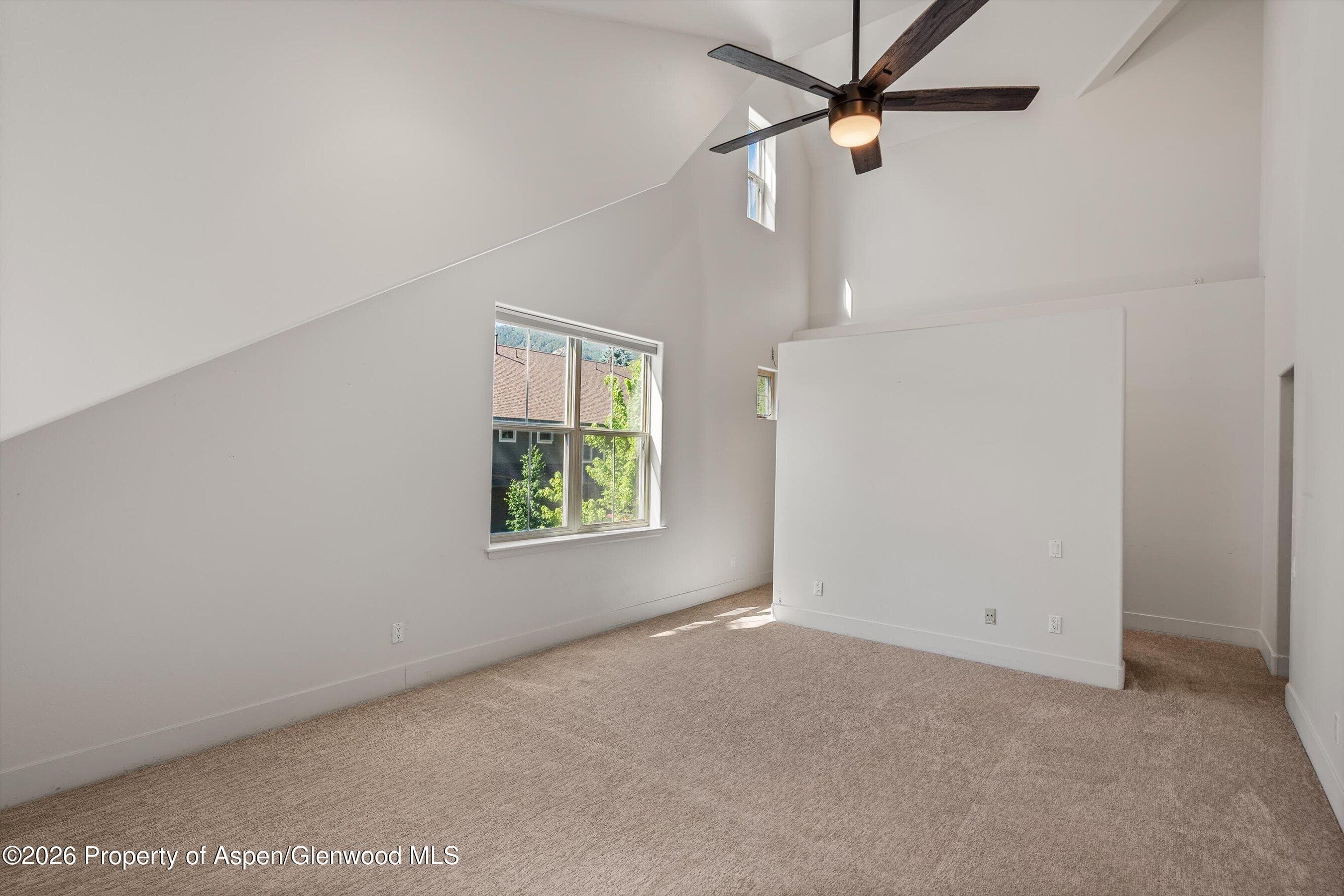 711 Evans Court, Basalt, CO 81621 - Photo 14