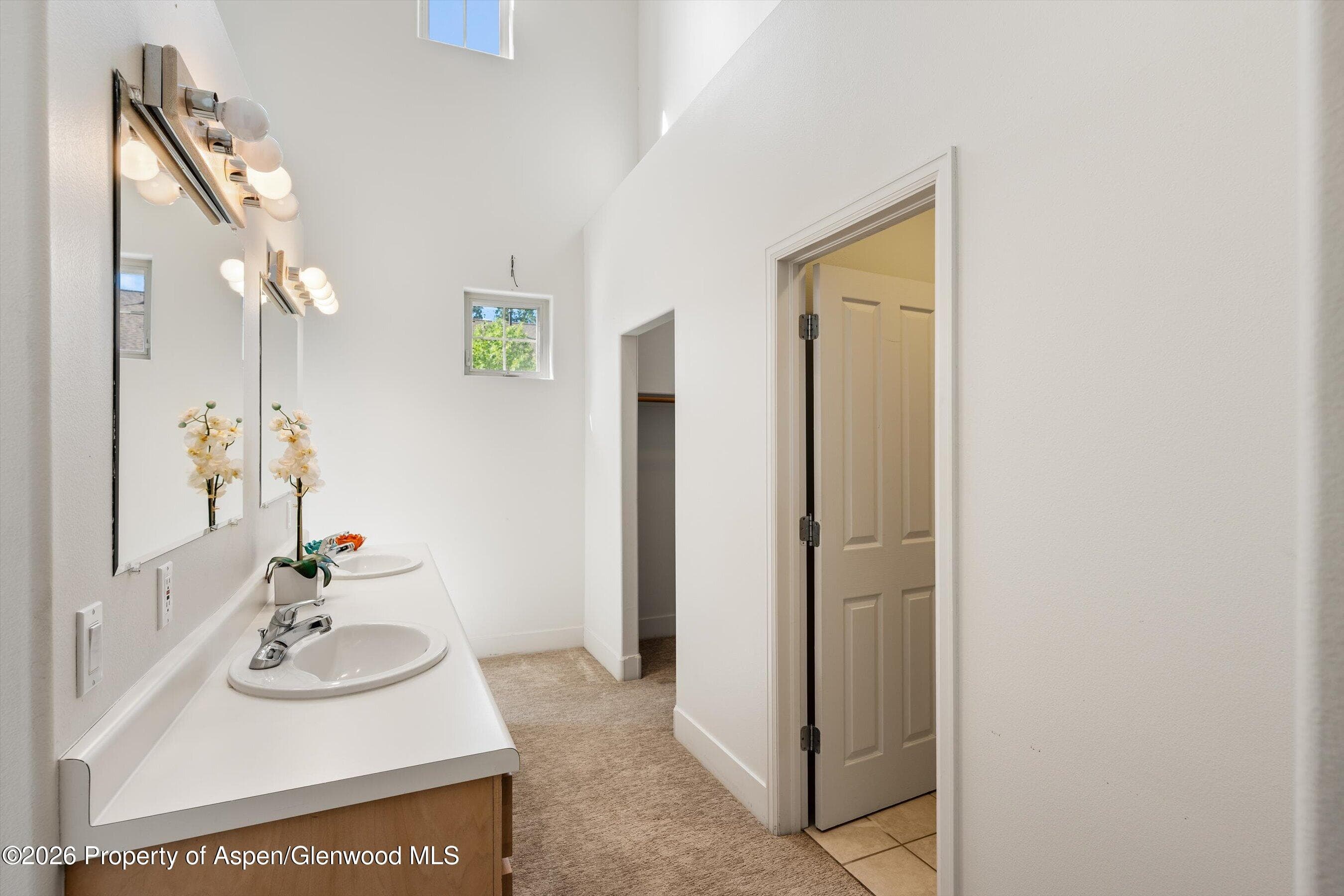 711 Evans Court, Basalt, CO 81621 - Photo 16