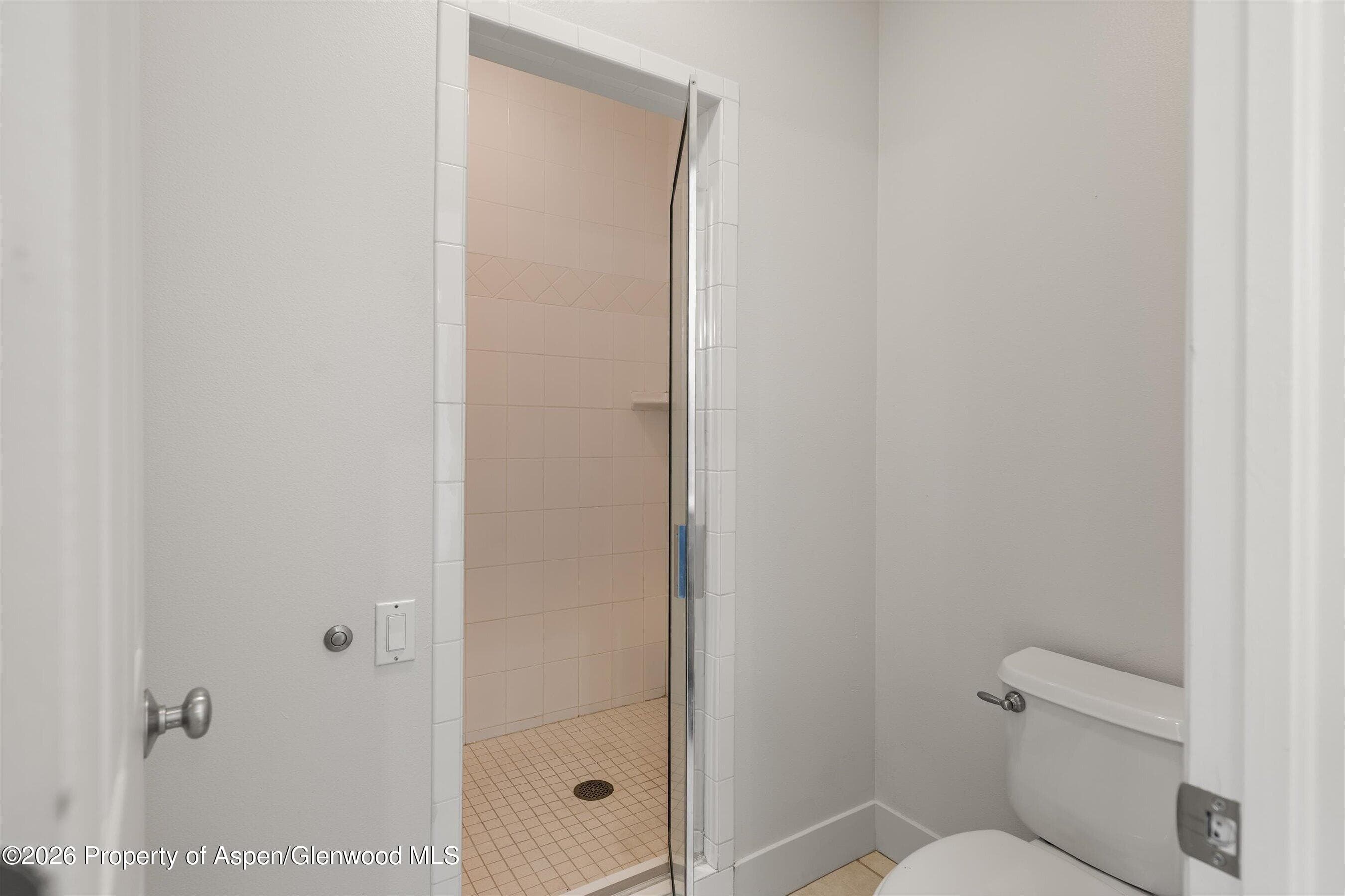 711 Evans Court, Basalt, CO 81621 - Photo 17