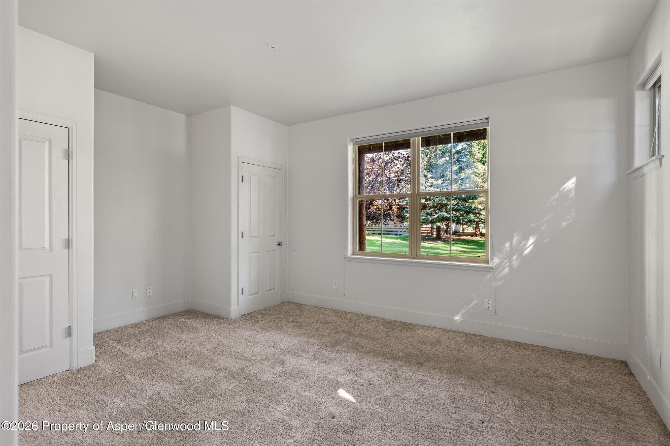 711 Evans Court, Basalt, CO 81621 - Photo 18