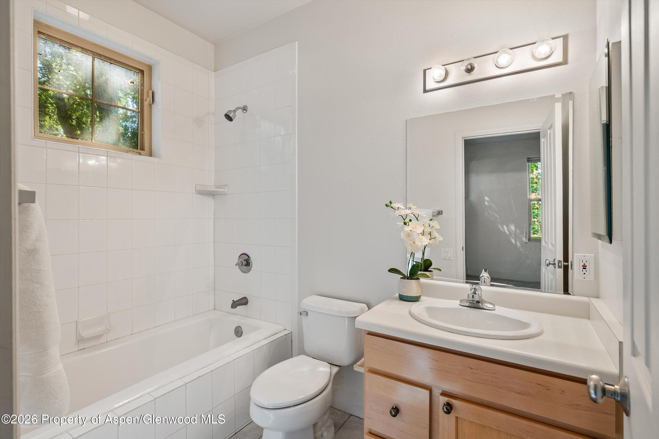 711 Evans Court, Basalt, CO 81621 - Photo 19