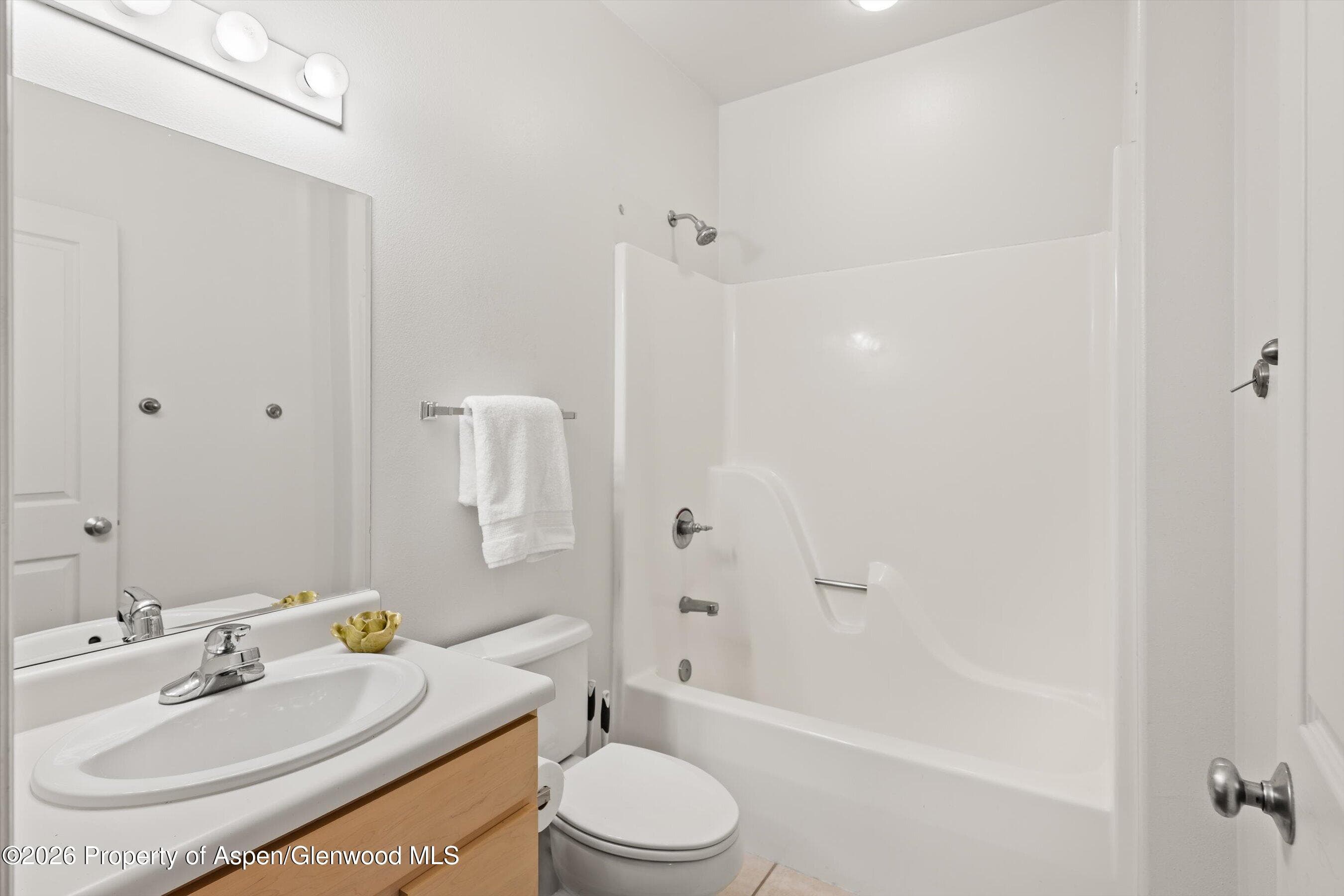 711 Evans Court, Basalt, CO 81621 - Photo 21
