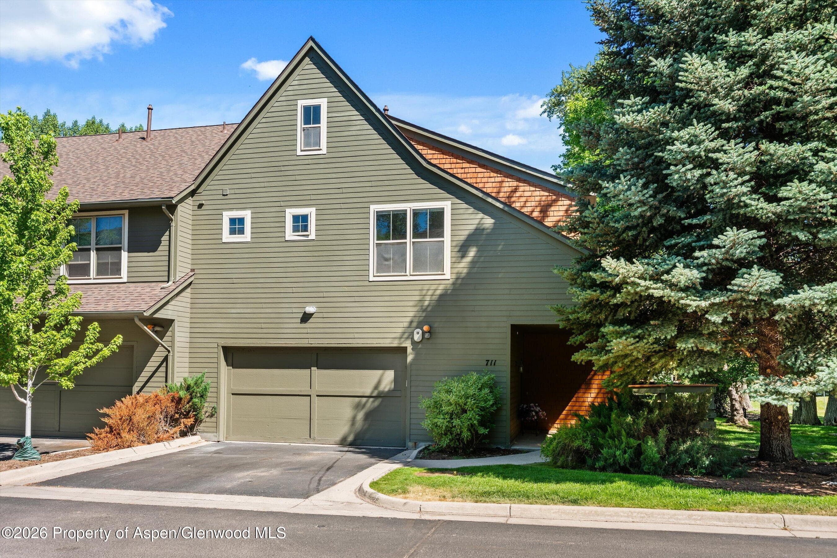 711 Evans Court, Basalt, CO 81621 - Photo 31