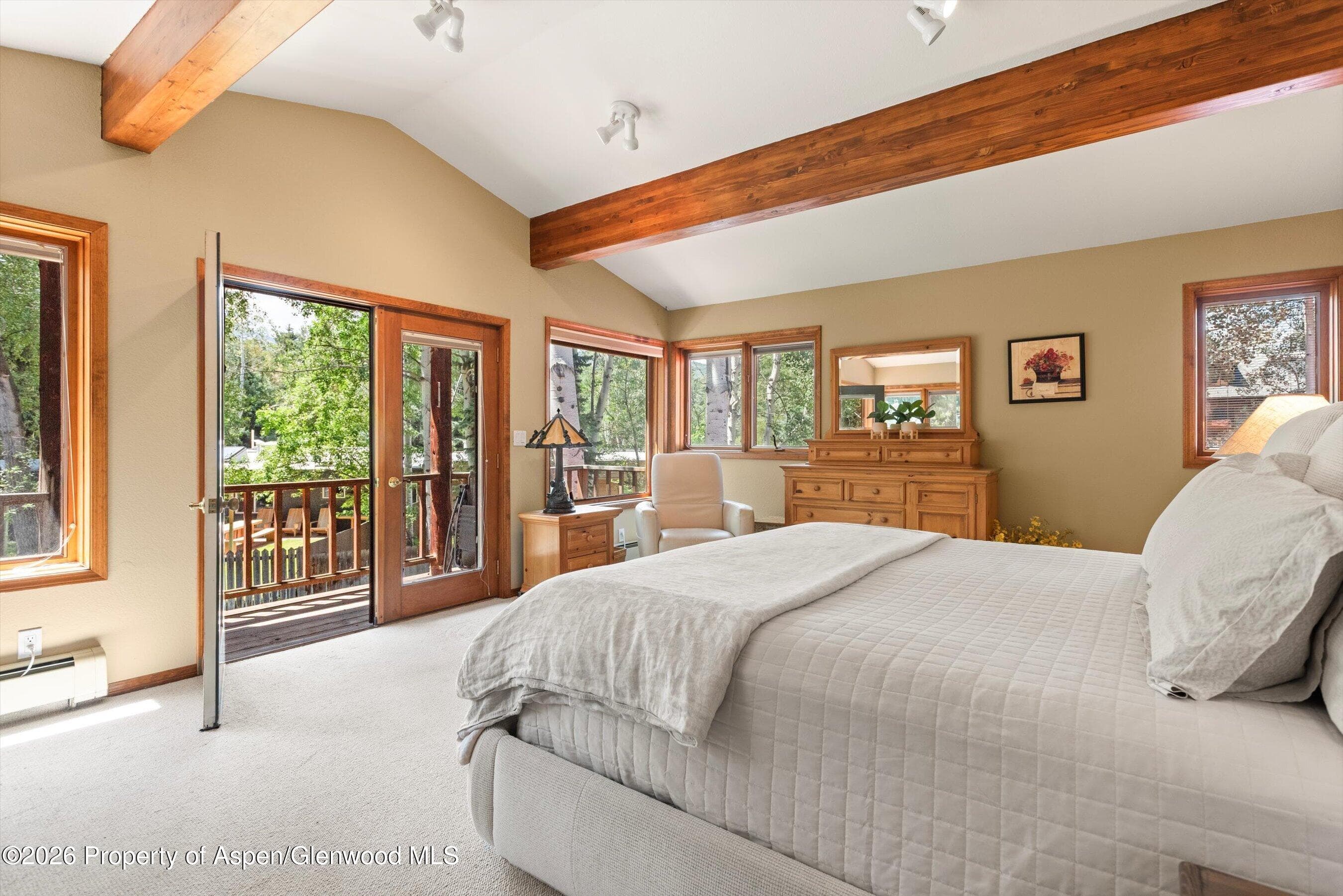 1375 Snowbunny Lane, Aspen, CO 81611 - Photo 9