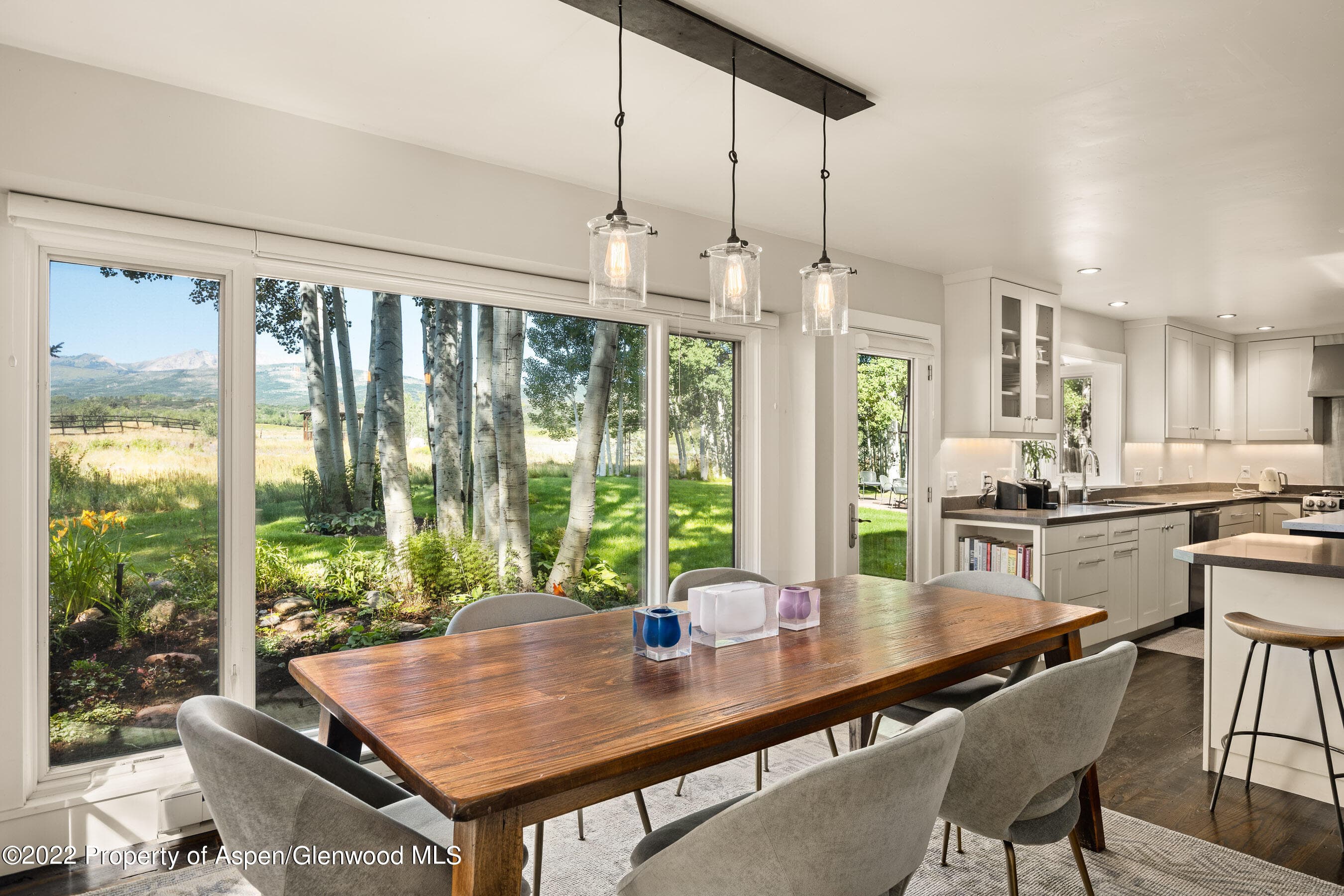 108 Katydid Lane, Snowmass, CO 81654 - Photo 6