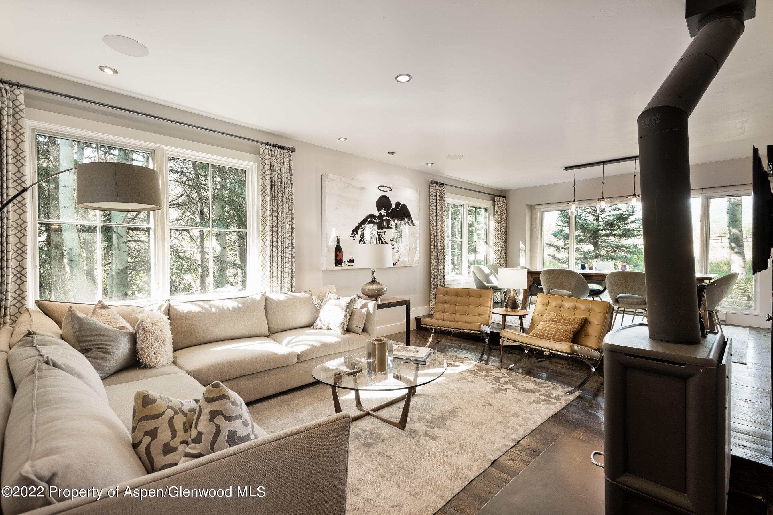 108 Katydid Lane, Snowmass, CO 81654 - Photo 9
