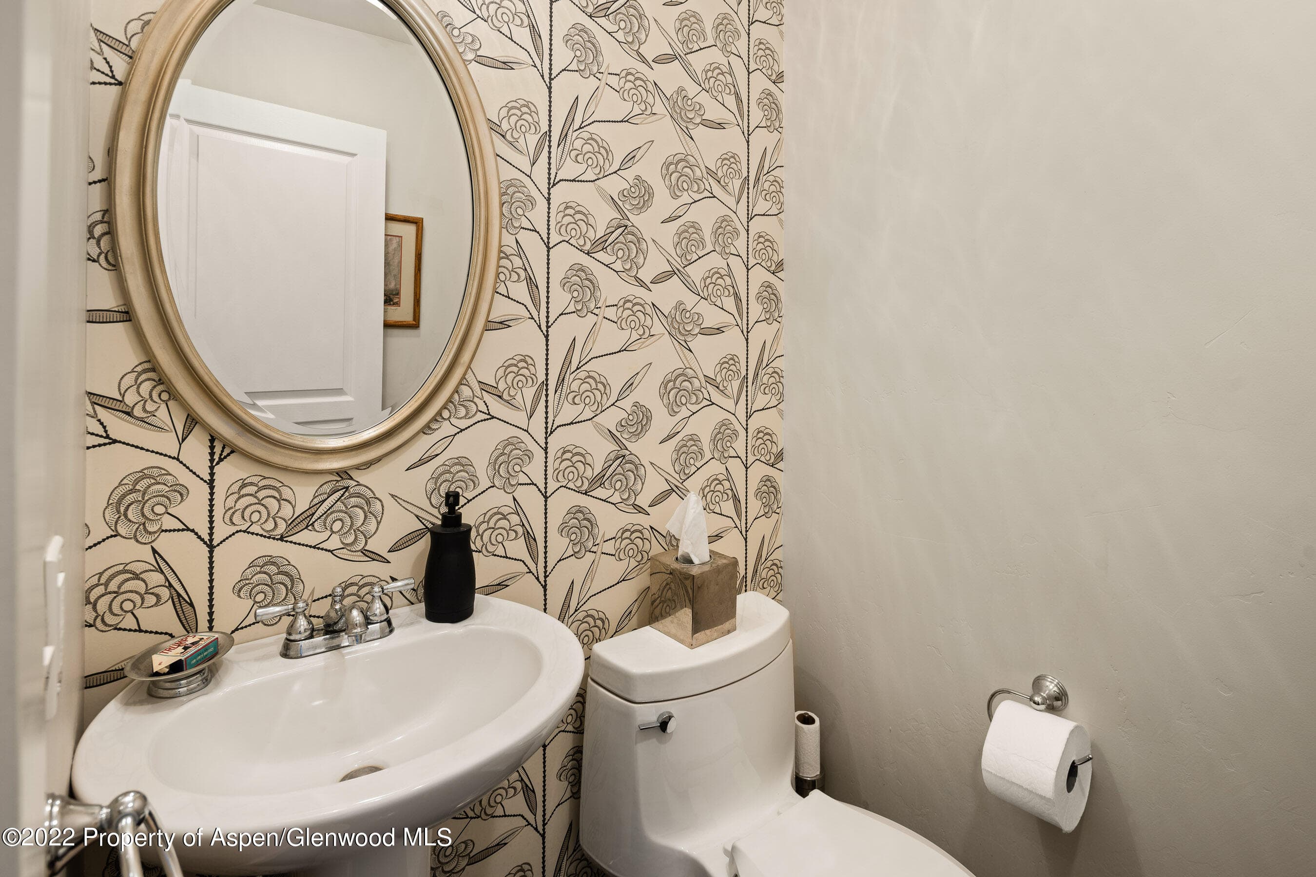 108 Katydid Lane, Snowmass, CO 81654 - Photo 20