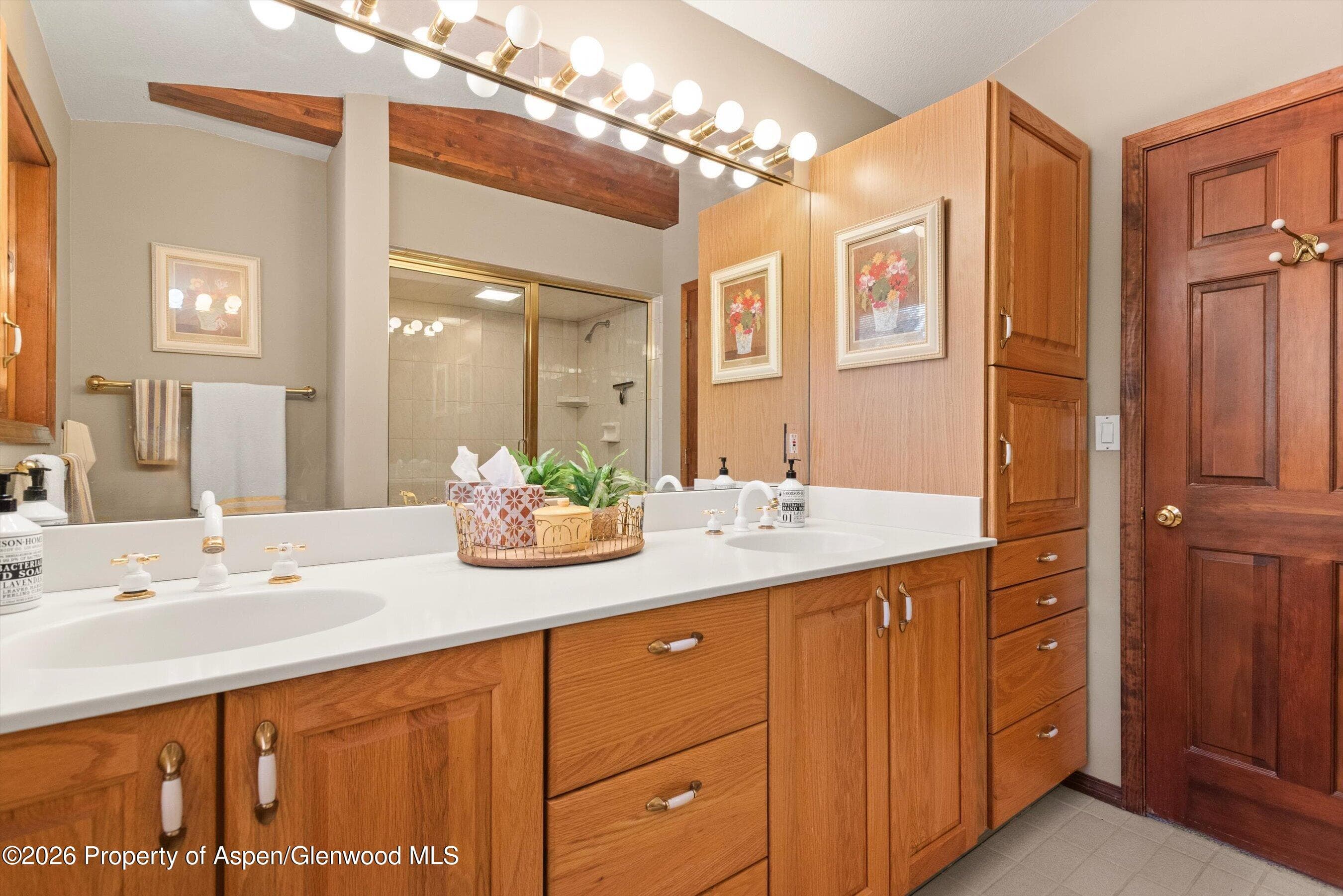 1375 Snowbunny Lane, Aspen, CO 81611 - Photo 10