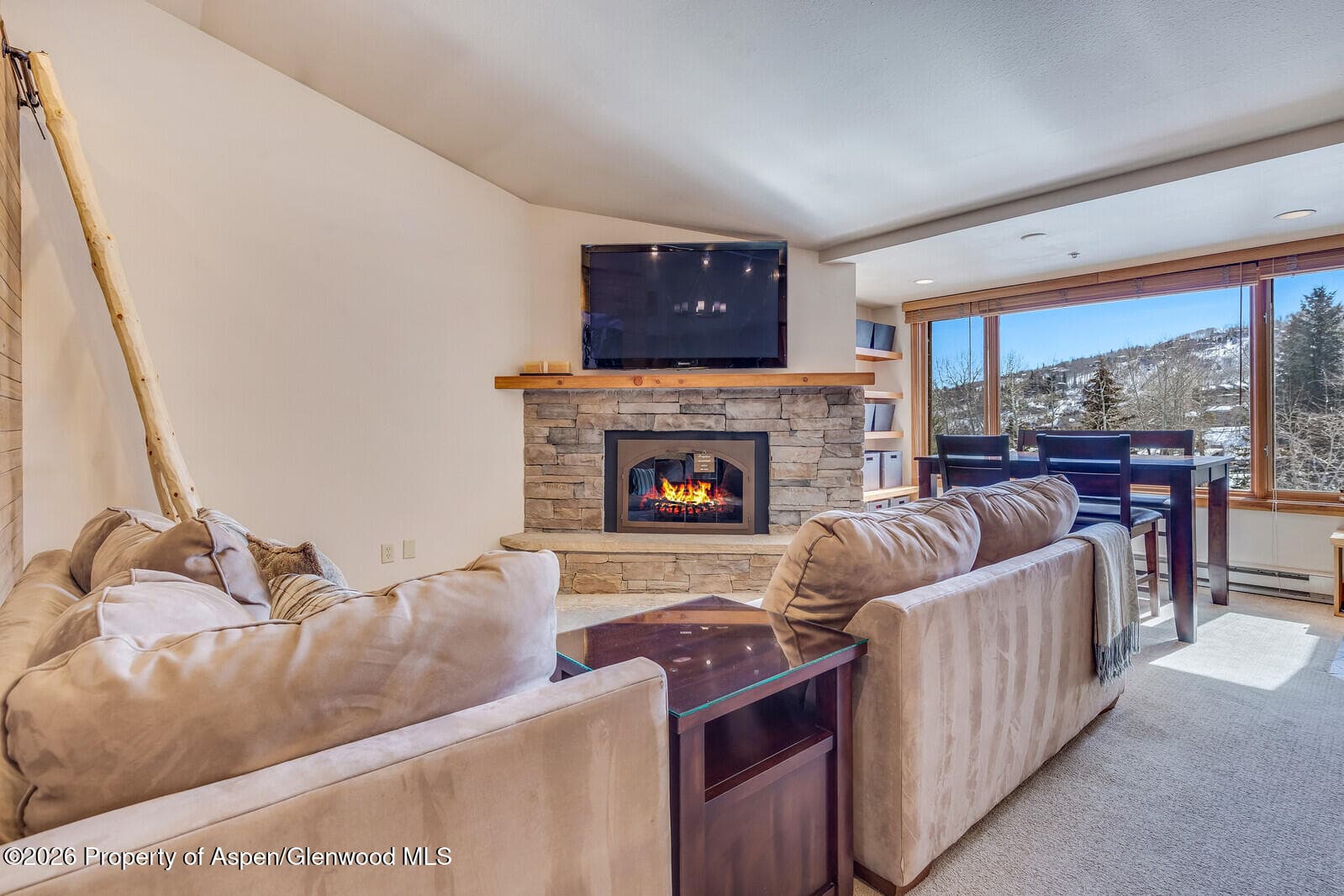 65 Campground Ln. 65, Snowmass Village, CO 81615 - Photo 4