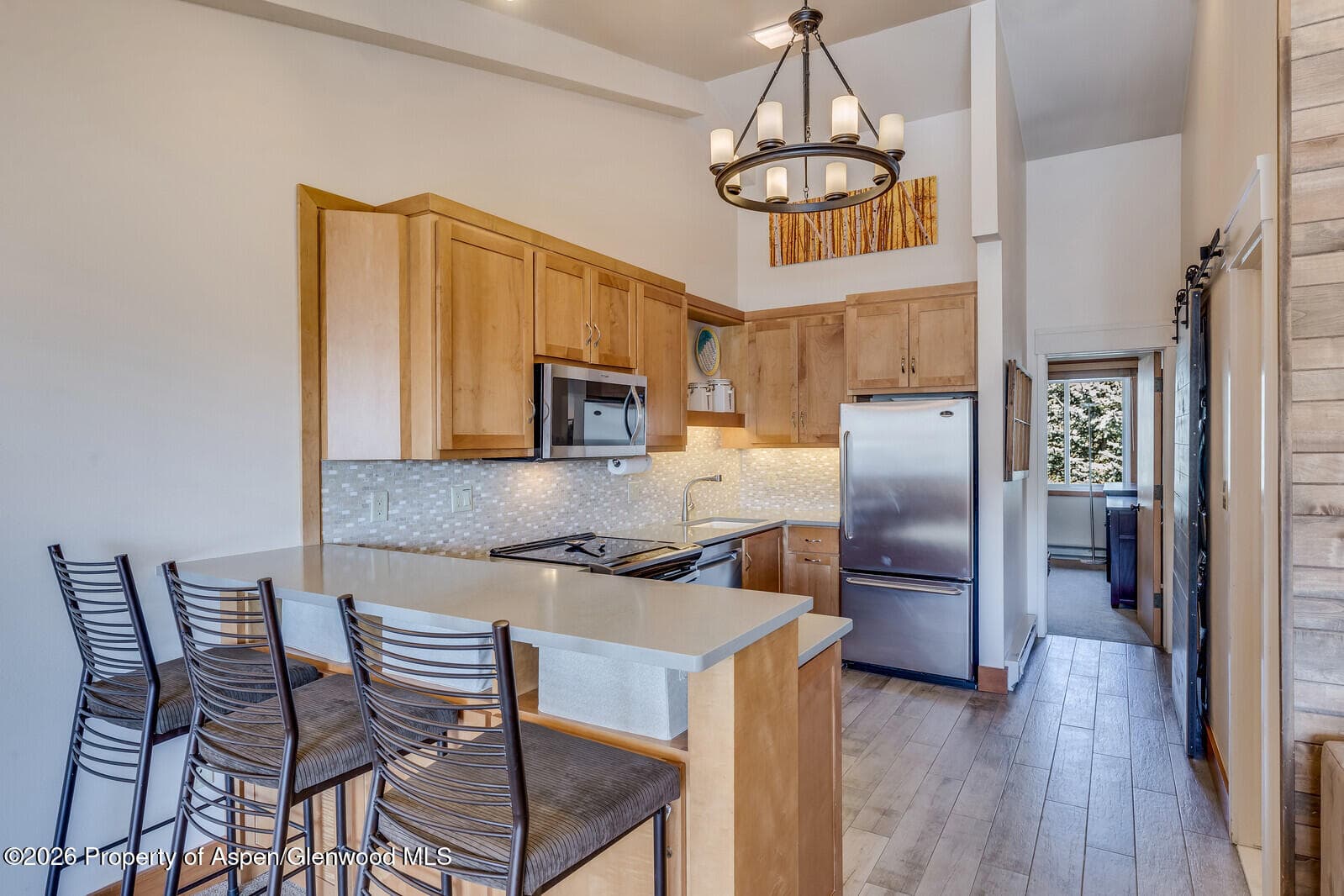 65 Campground Ln. 65, Snowmass Village, CO 81615 - Photo 7