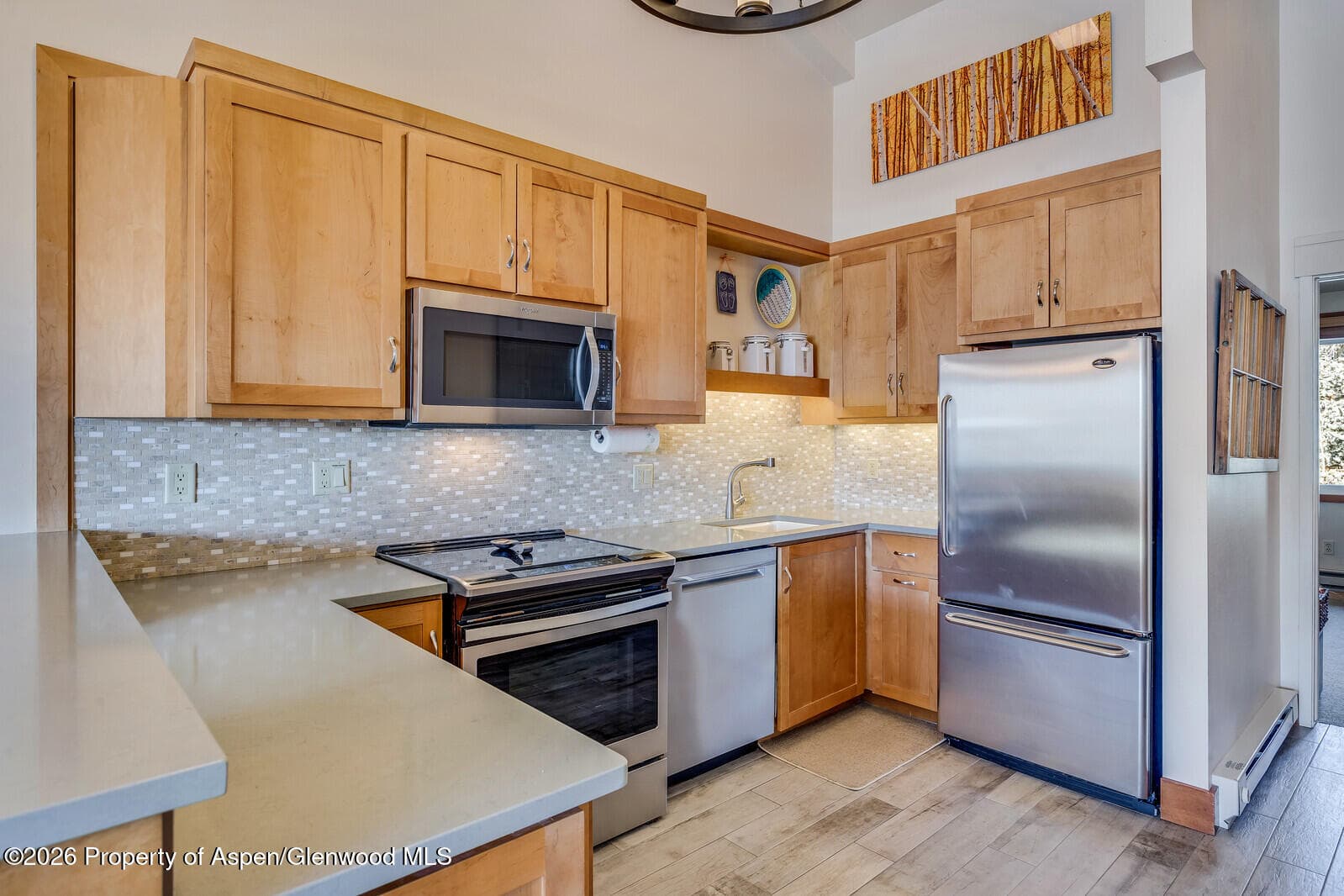 65 Campground Ln. 65, Snowmass Village, CO 81615 - Photo 8