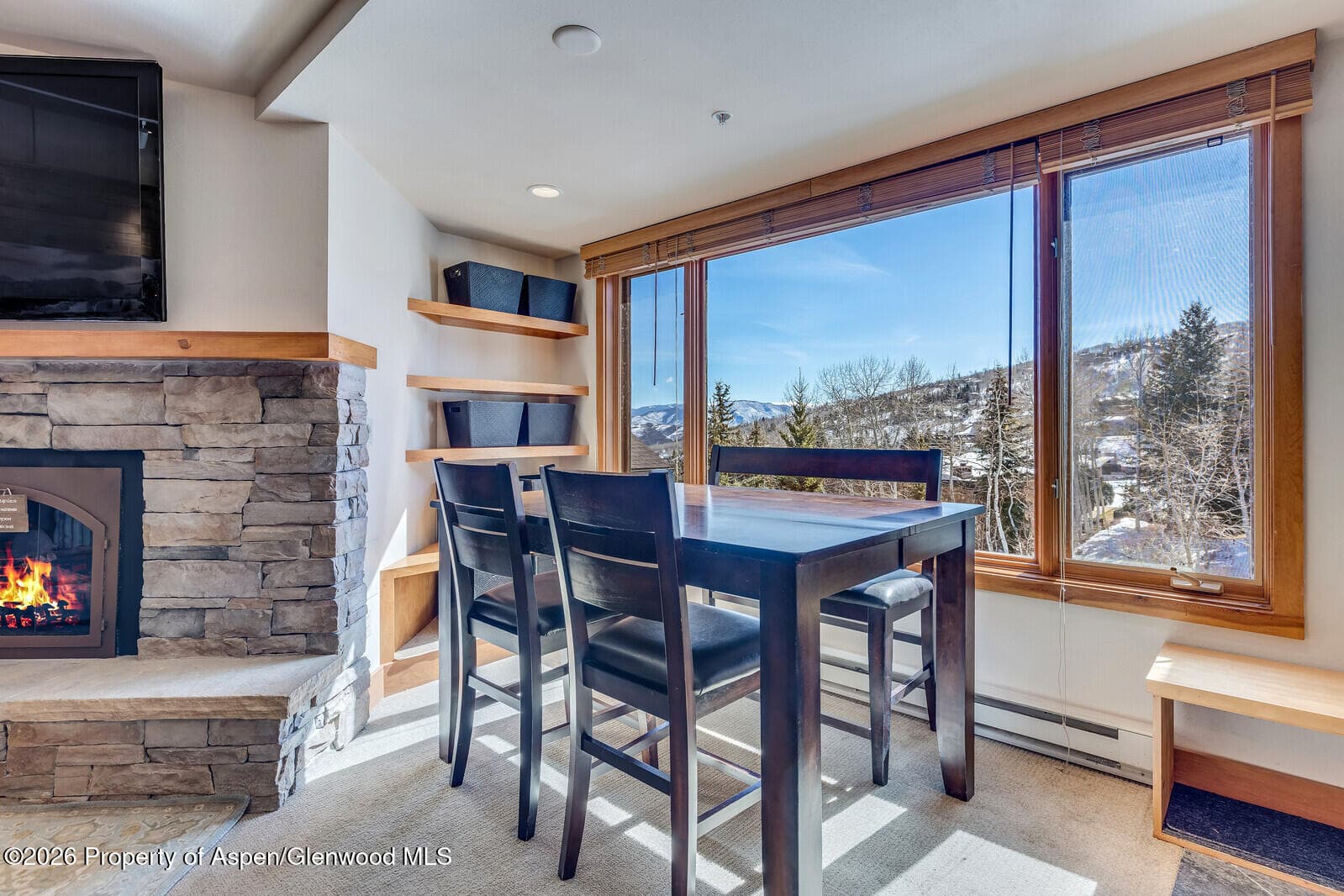 65 Campground Ln. 65, Snowmass Village, CO 81615 - Photo 10