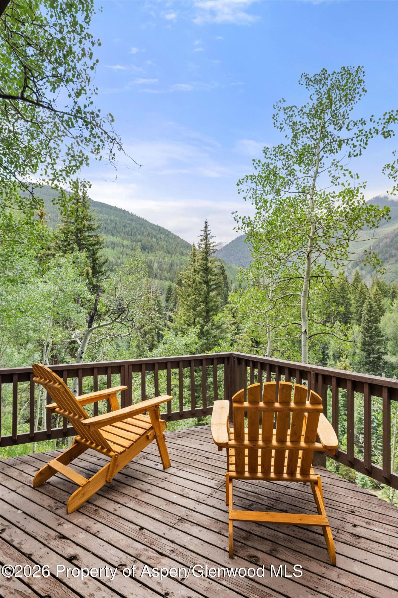 5387 Castle Creek Road, Aspen, CO 81611 - Photo 34